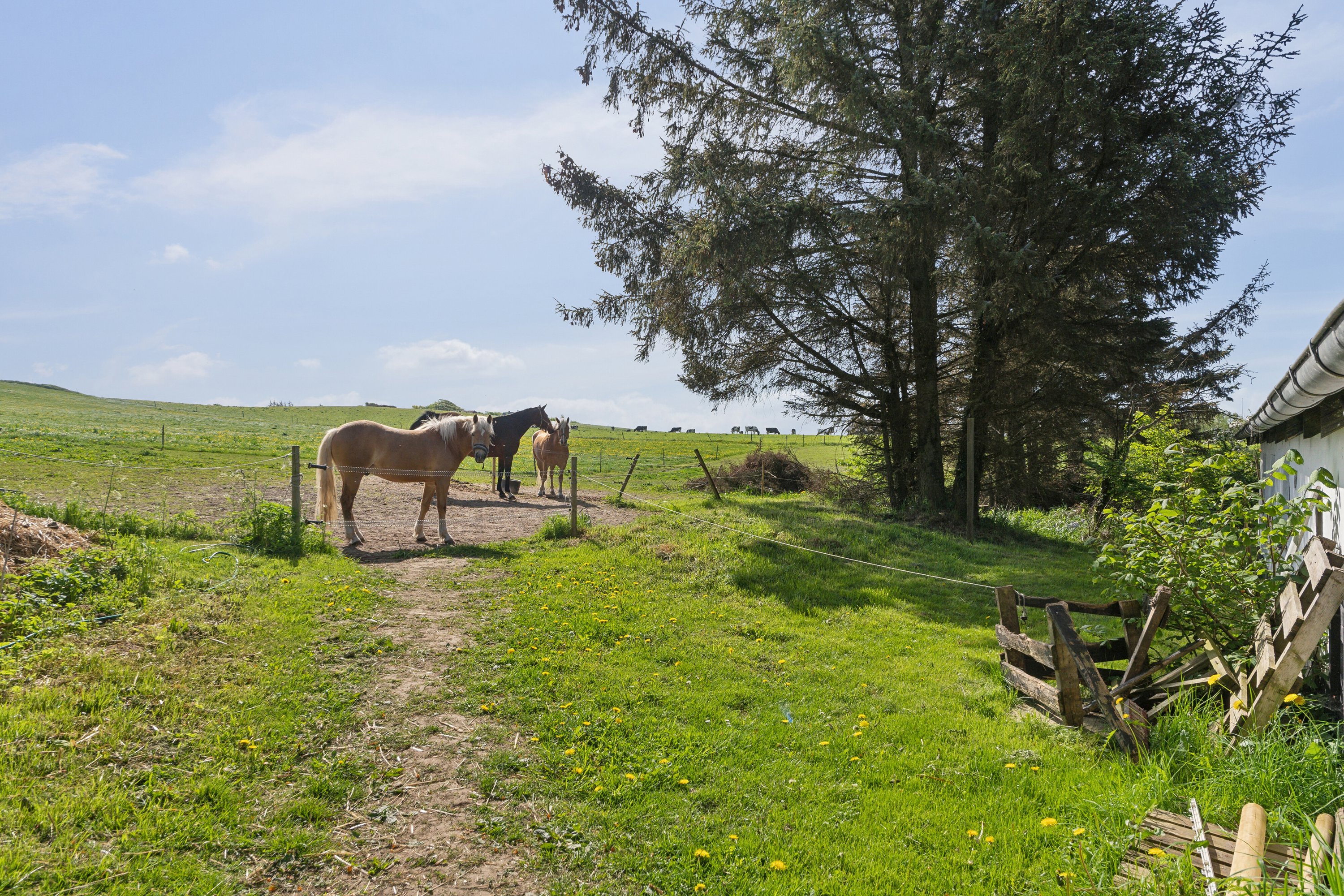 Fremhævet udendørs billede i fuldskærmstilstand. Billede af Allingdamvej 149, Bjergby, 9800 Hjørring