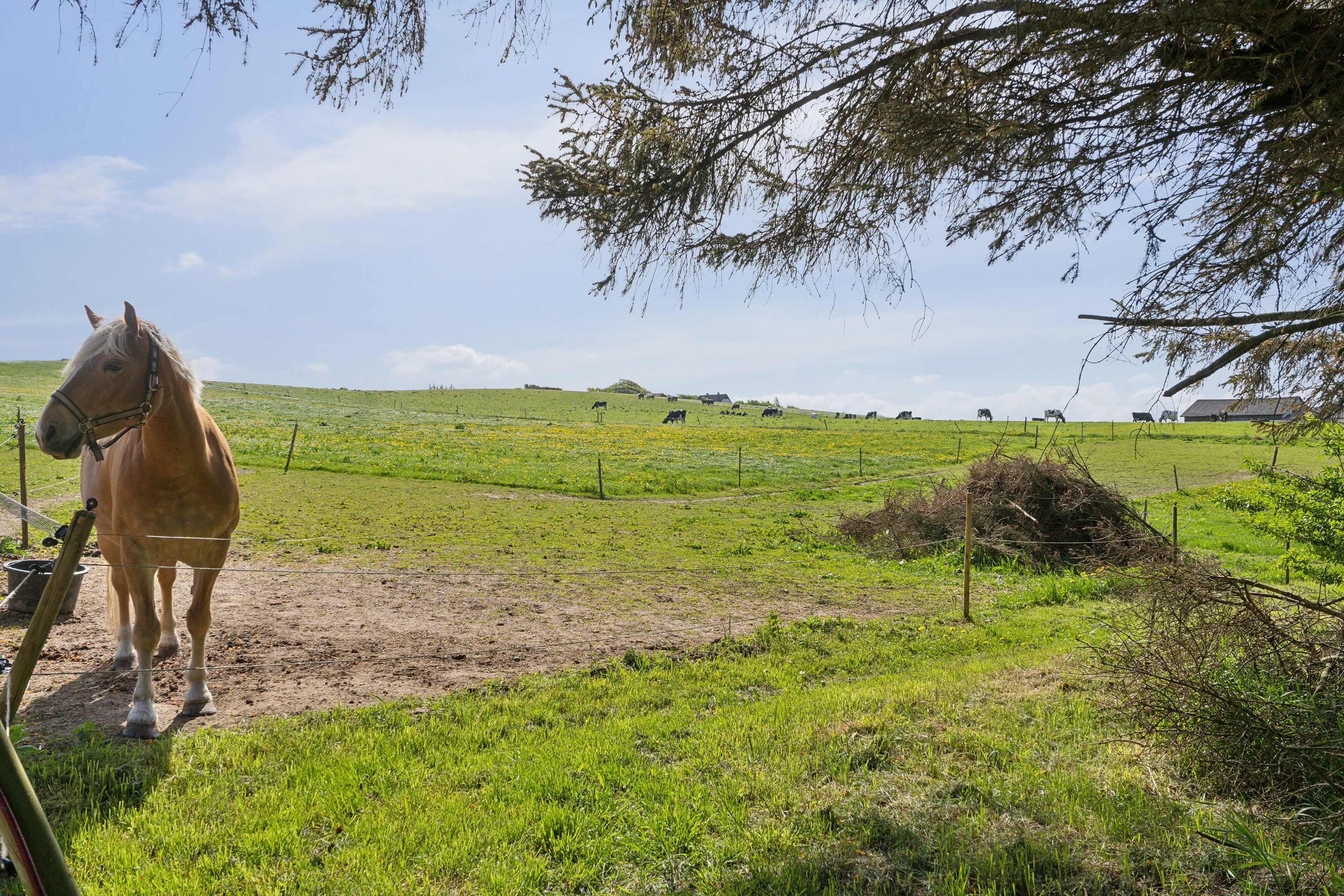 Fremhævet udendørs billede i fuldskærmstilstand. Billede af Allingdamvej 149, Bjergby, 9800 Hjørring