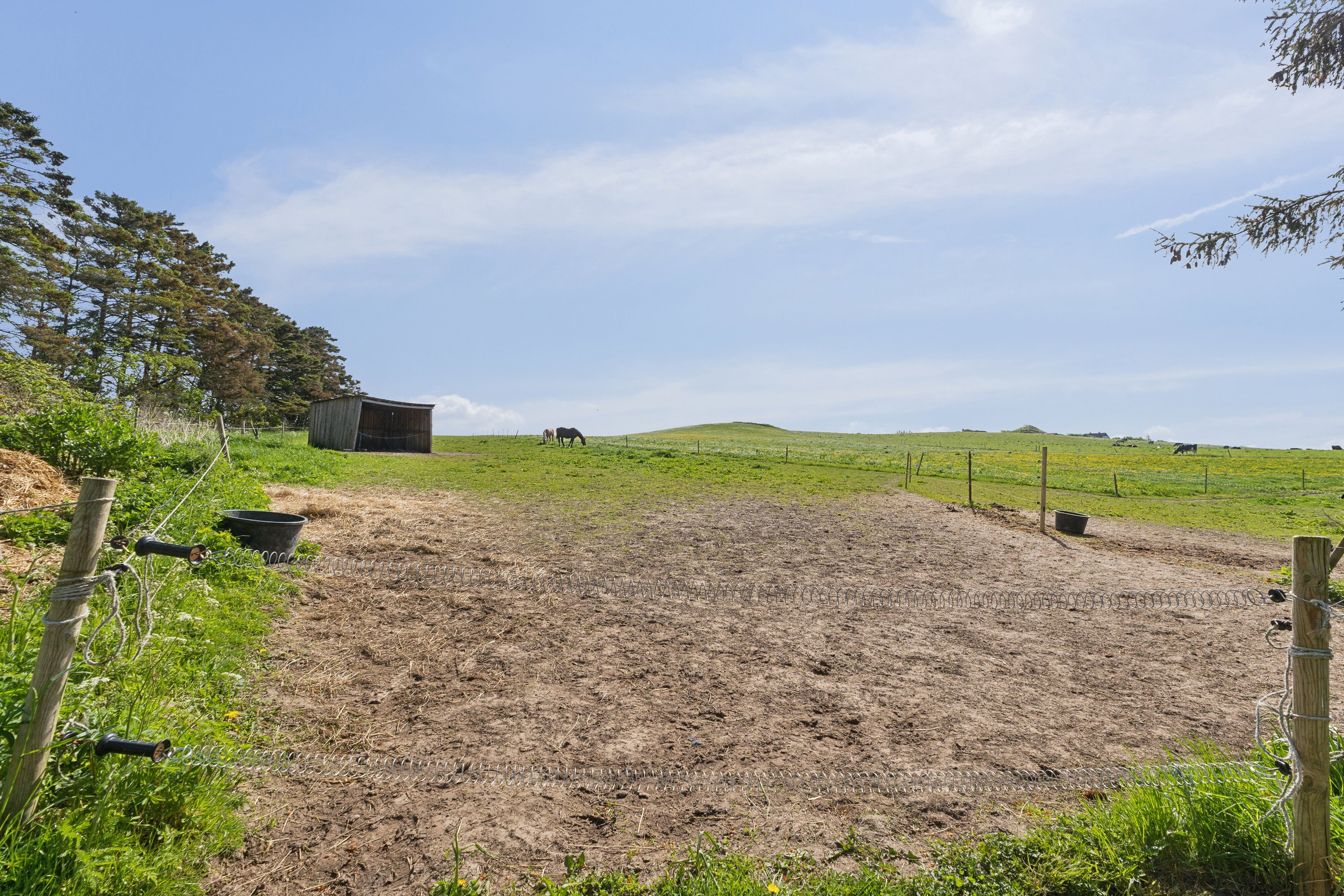 Miniaturebillede 2: udendørs. Billede af Allingdamvej 149, Bjergby, 9800 Hjørring