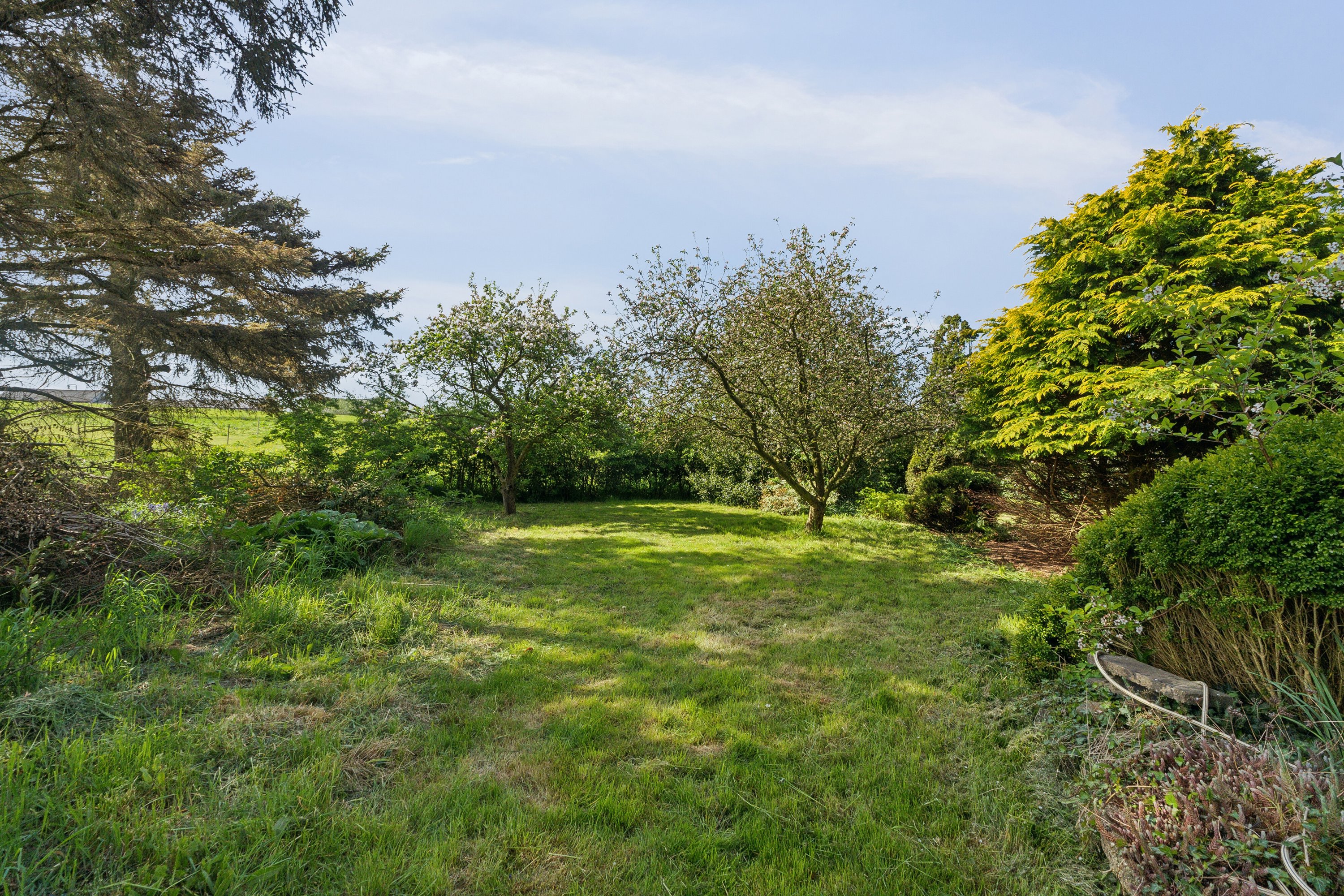 Fremhævet udendørs billede i fuldskærmstilstand. Billede af Allingdamvej 149, Bjergby, 9800 Hjørring