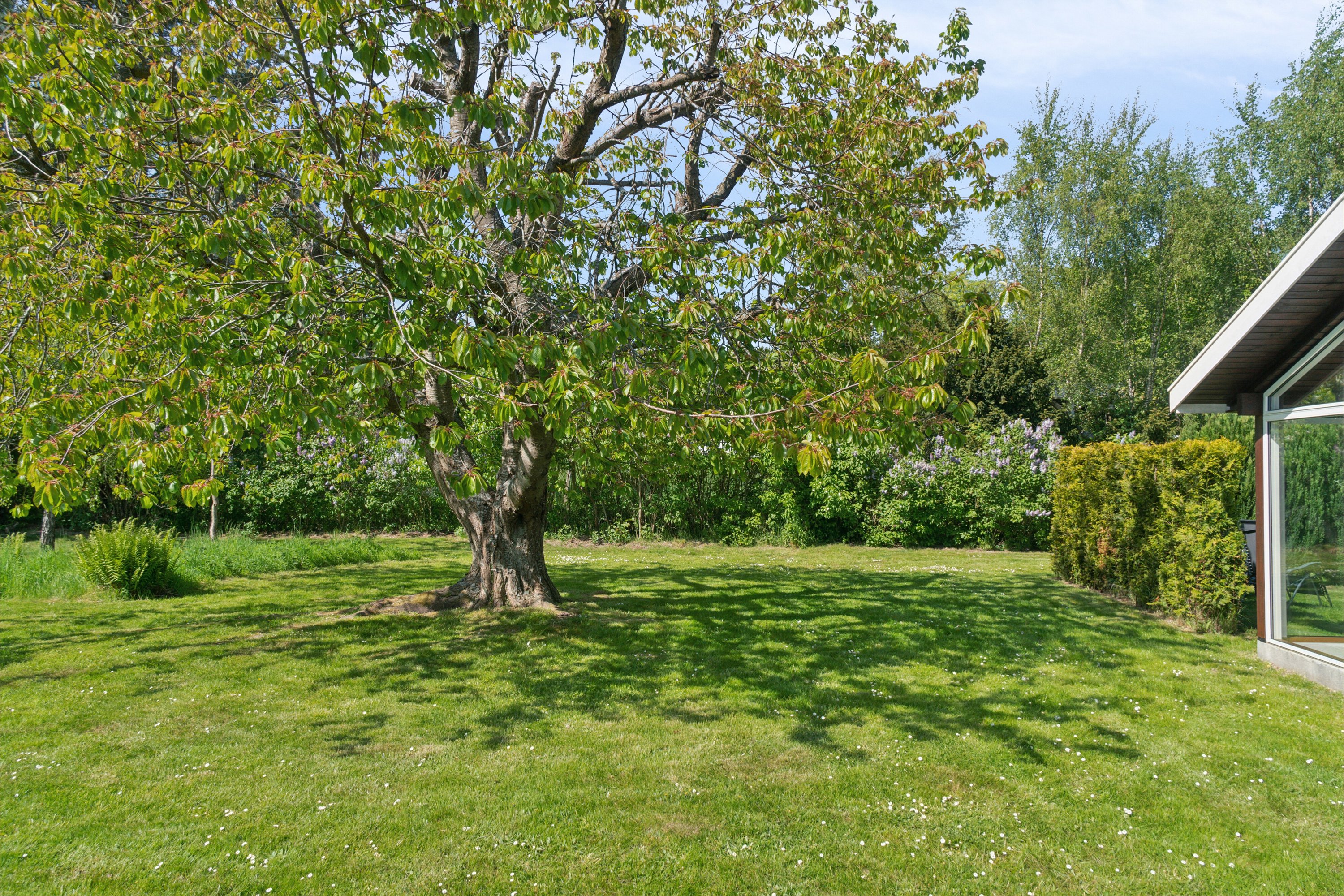 Fremhævet set fra haven billede i fuldskærmstilstand. Billede af Glentevej 1, 4400 Kalundborg