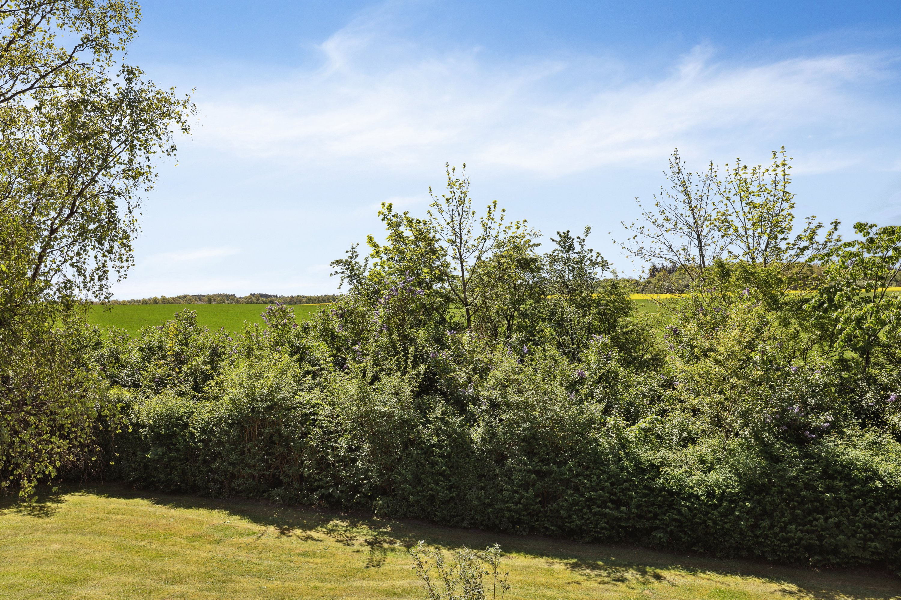 Fremhævet udsigt billede i fuldskærmstilstand. Billede af Holstebrovej 203, Mønsted, 8800 Viborg