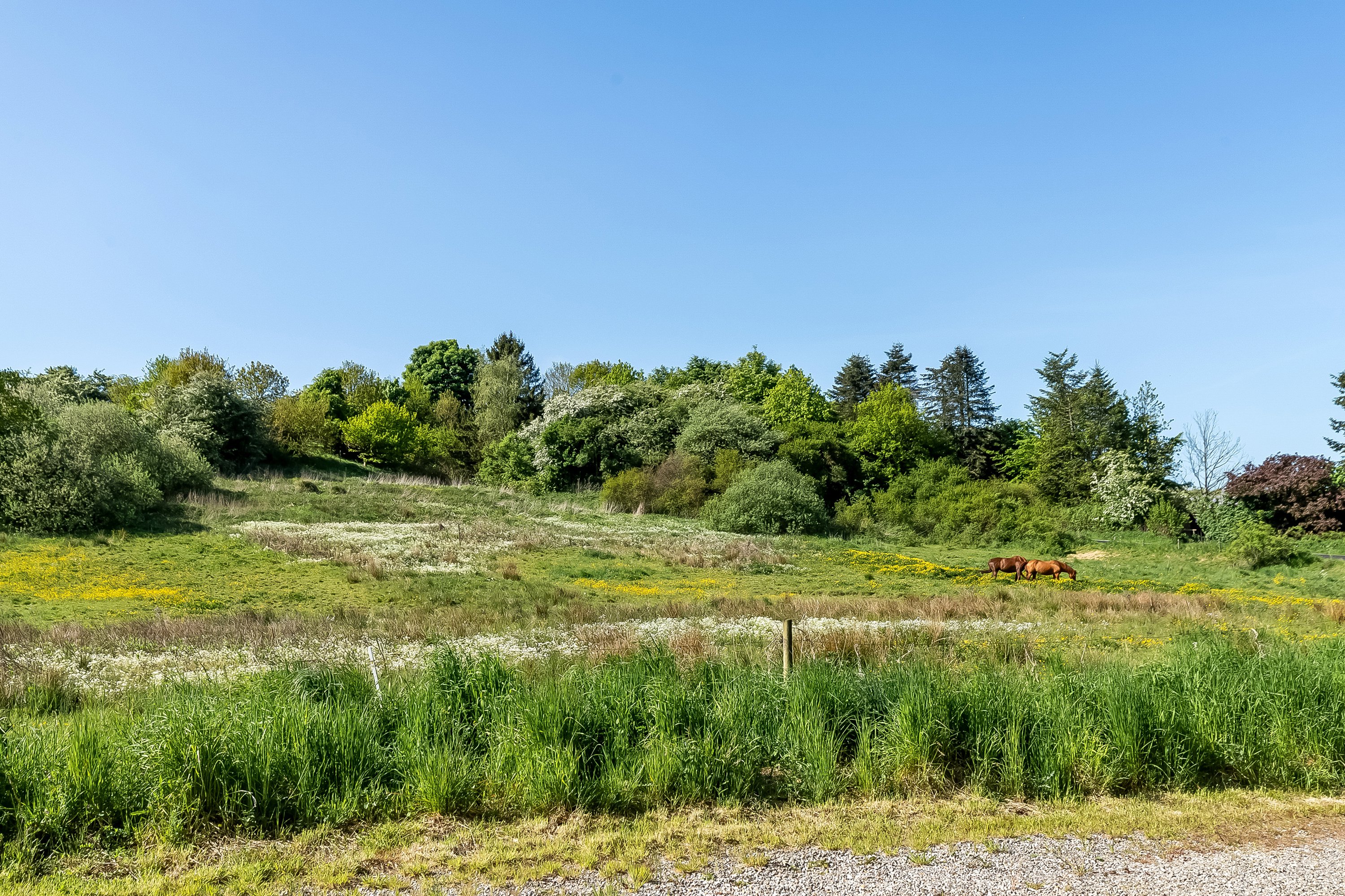 Fremhævet udsigt billede i fuldskærmstilstand. Billede af Ejstrupvej 25, Vranderup, 6000 Kolding