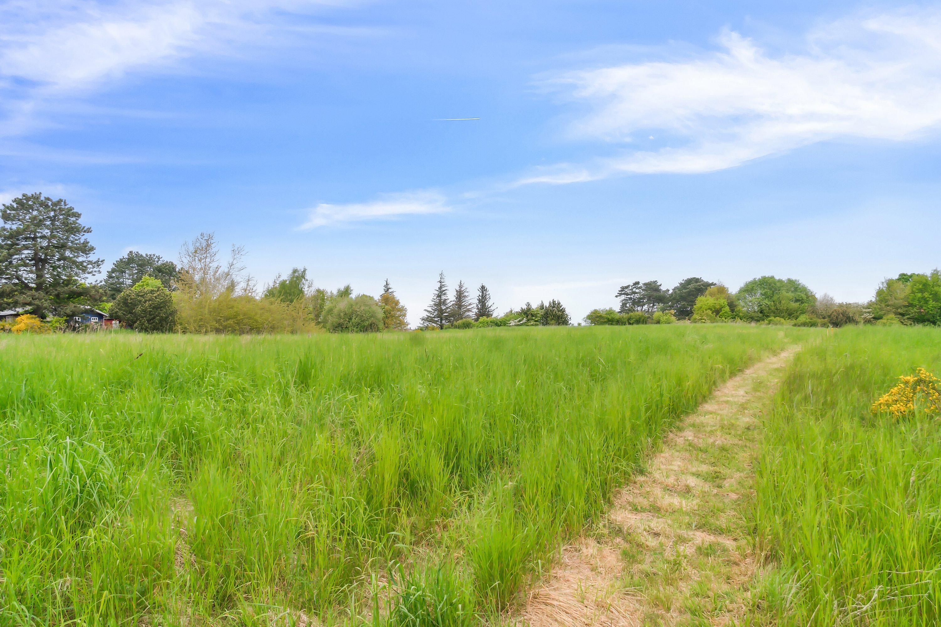 Fremhævet omgivelser billede i fuldskærmstilstand. Billede af Agnesvej 8A, 4400 Kalundborg