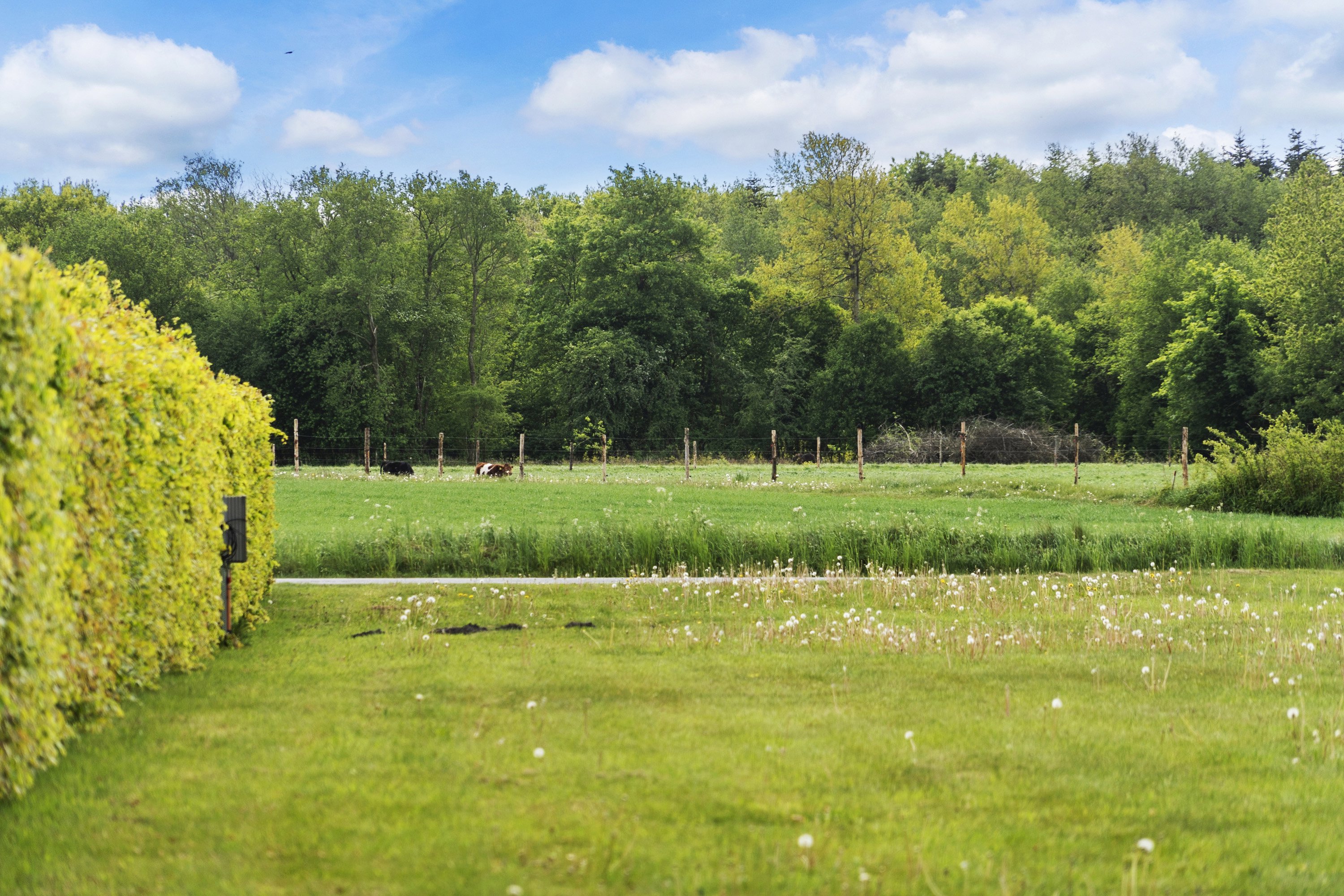 Fremhævet område billede i fuldskærmstilstand. Billede af Kragelundvej 3B, 6622 Bække