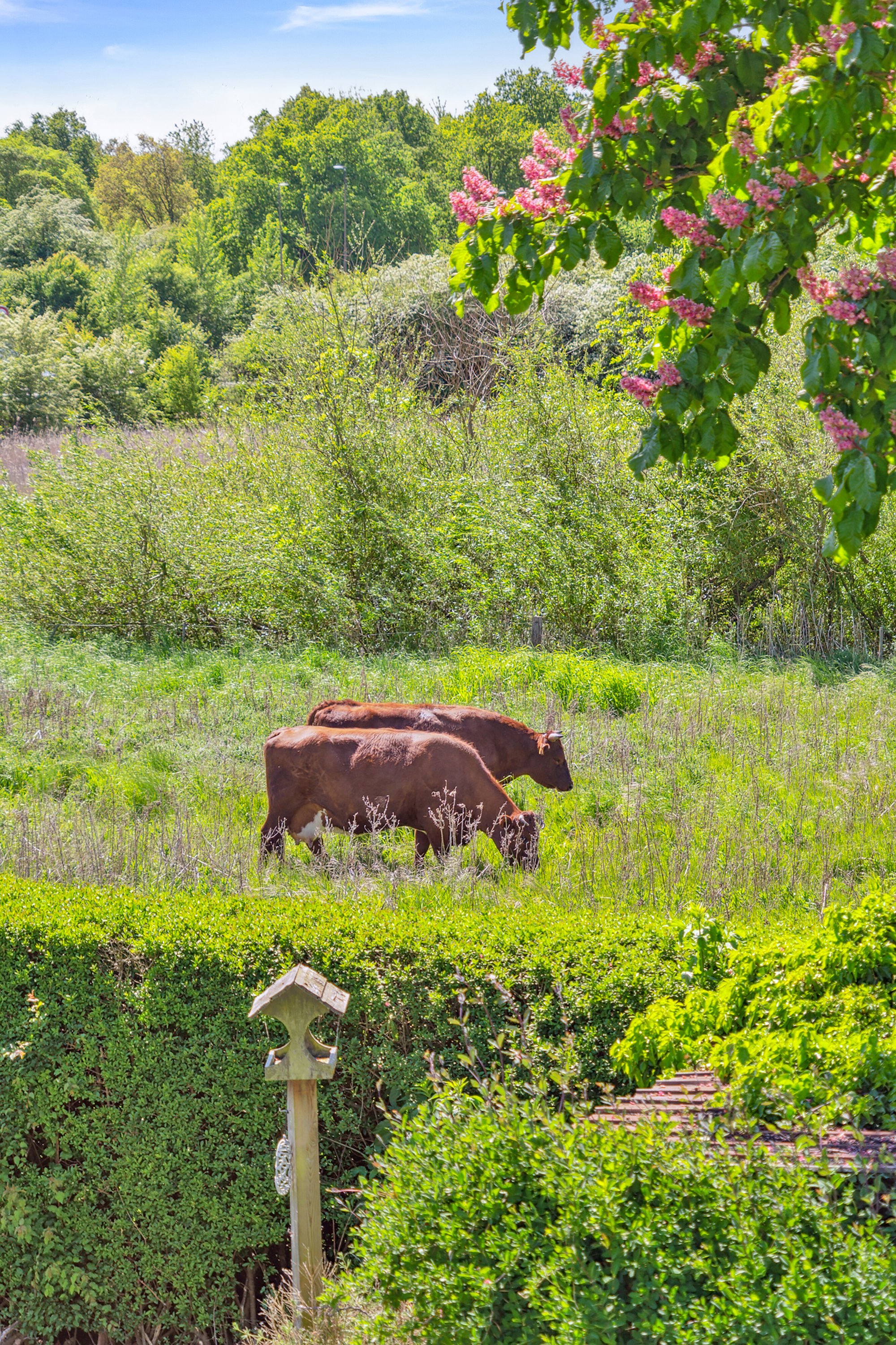 Fremhævet udendørs billede i fuldskærmstilstand. Billede af Mindelundsvej 10, Seden, 5240 Odense NØ
