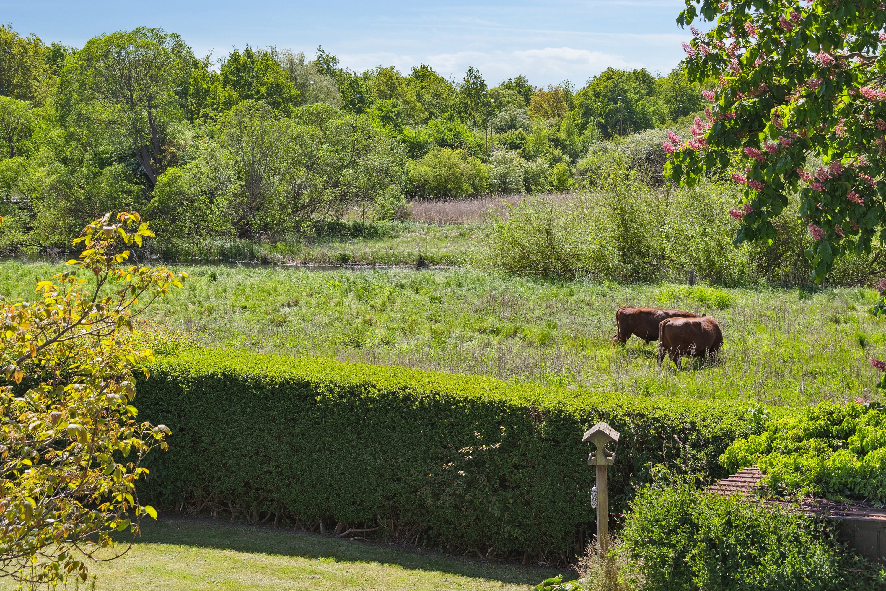 Fremhævet udendørs billede i fuldskærmstilstand. Billede af Mindelundsvej 10, Seden, 5240 Odense NØ