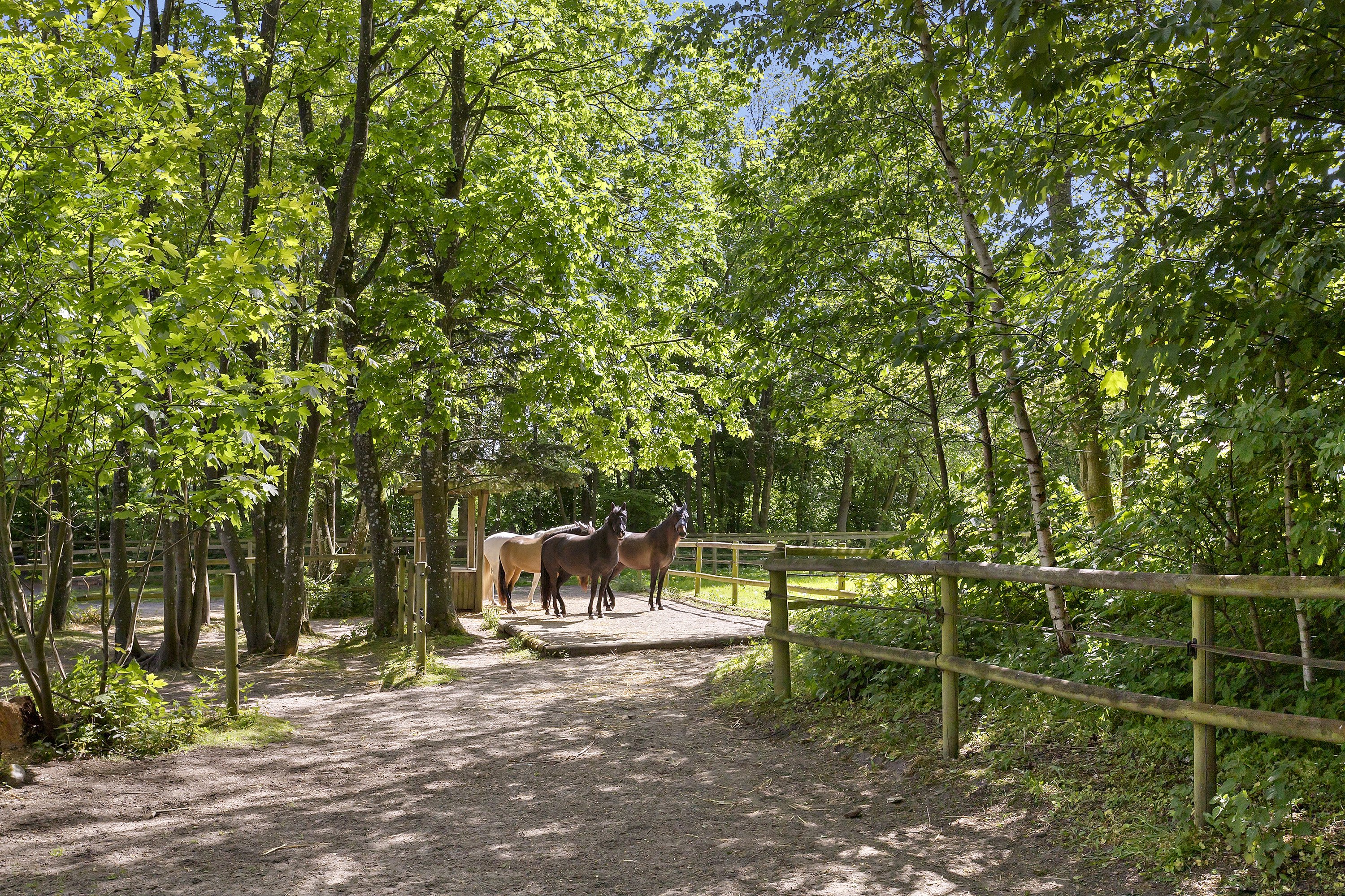 Fremhævet ejendommen billede i fuldskærmstilstand. Billede af Maltvej 94, Malt, 6600 Vejen