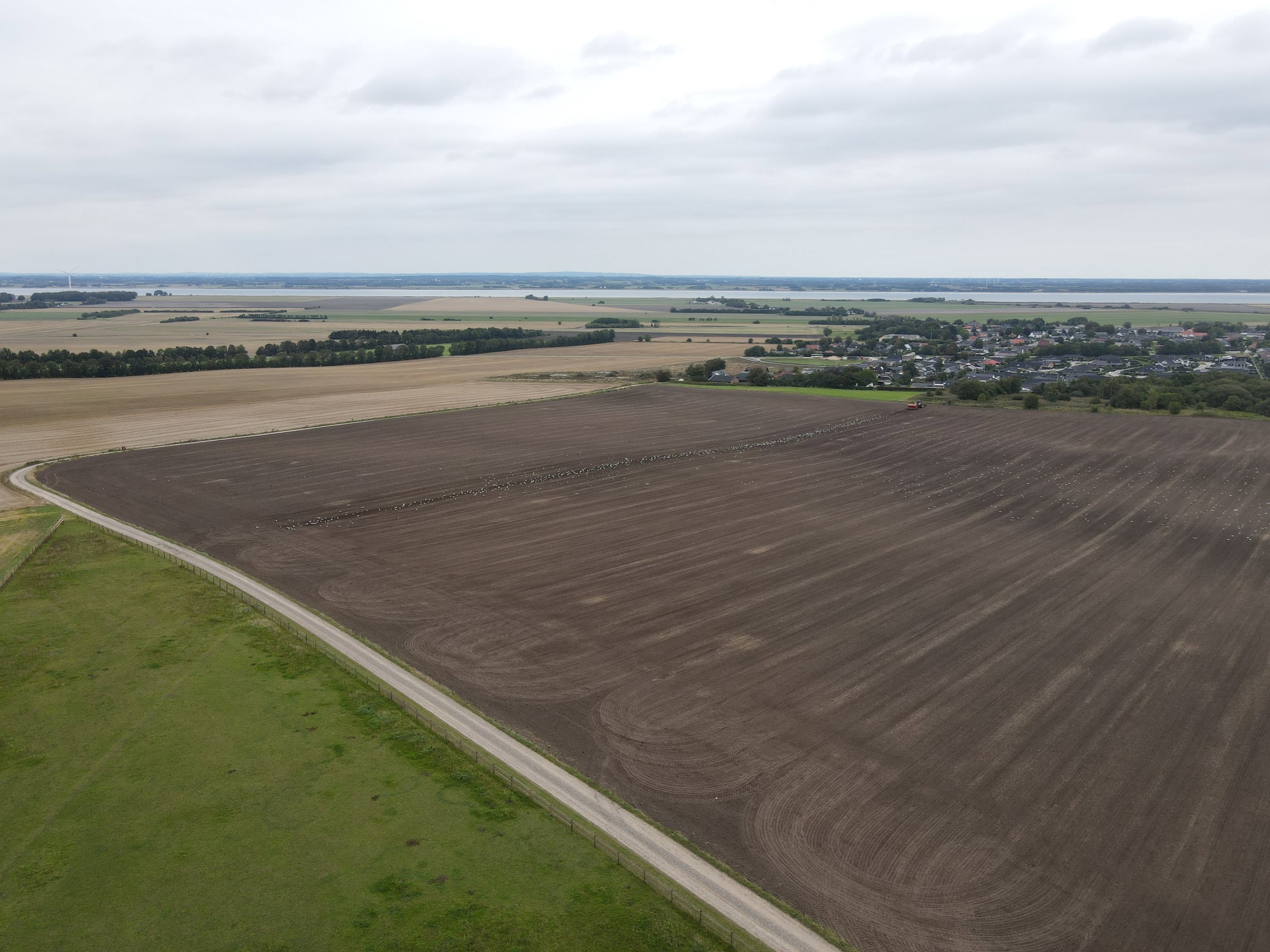 Fremhævet  billede i fuldskærmstilstand. Billede af Rødageren 13, 9280 Storvorde