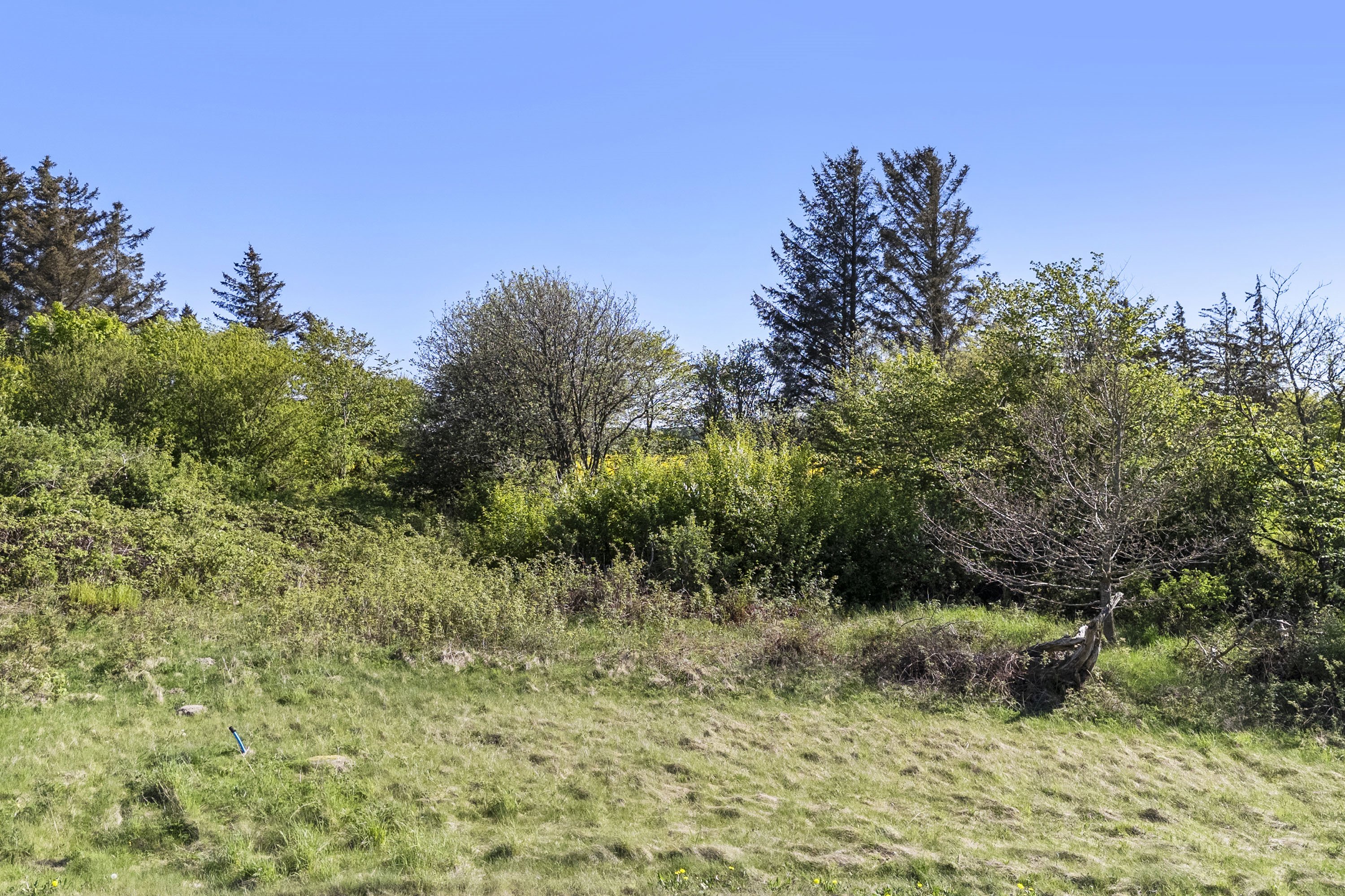 Fremhævet grund billede i fuldskærmstilstand. Billede af Nørre Knoldevej 19, Skal Klit, 9800 Hjørring