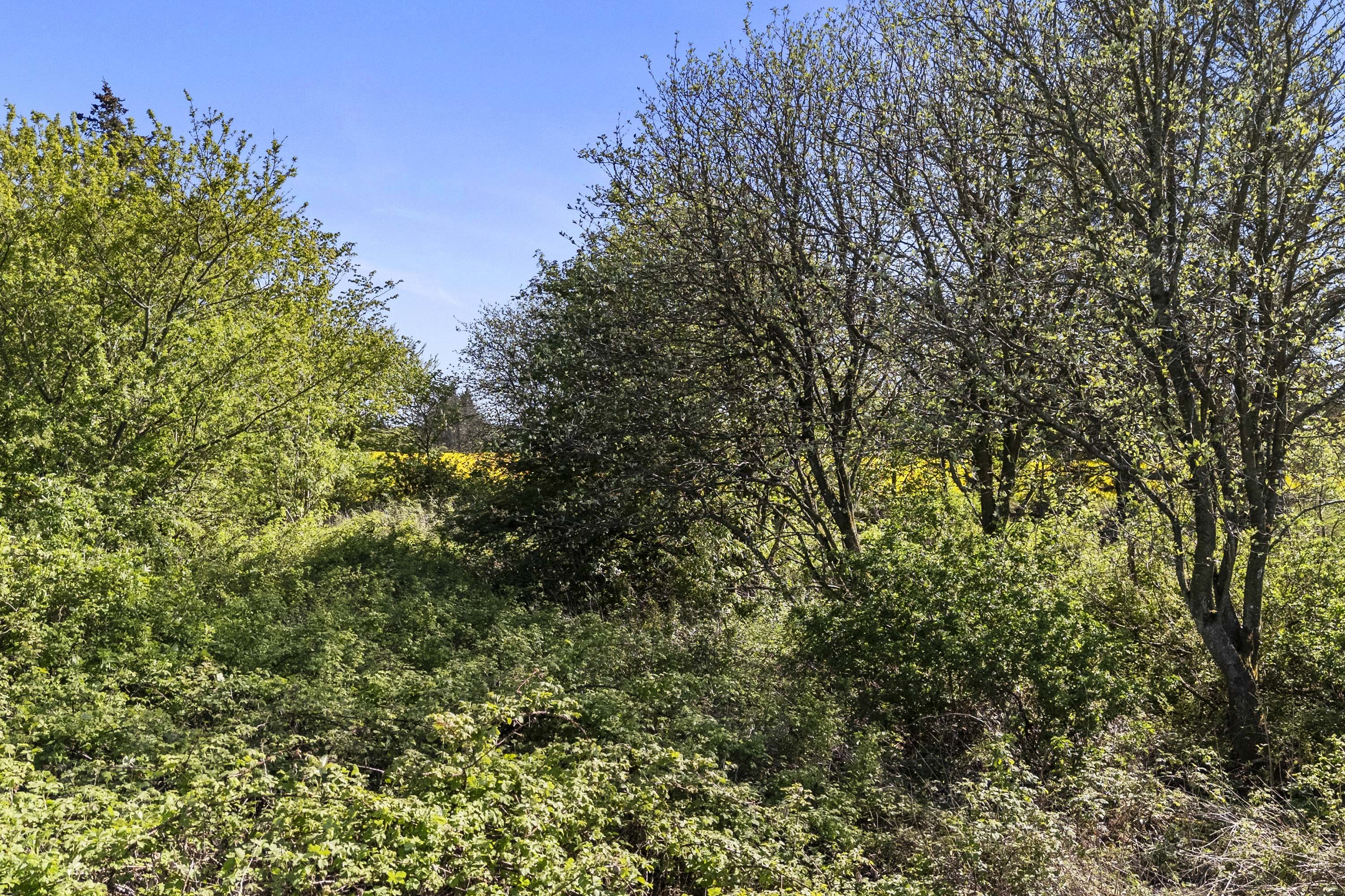 Miniaturebillede 1: grund. Billede af Nørre Knoldevej 19, Skal Klit, 9800 Hjørring