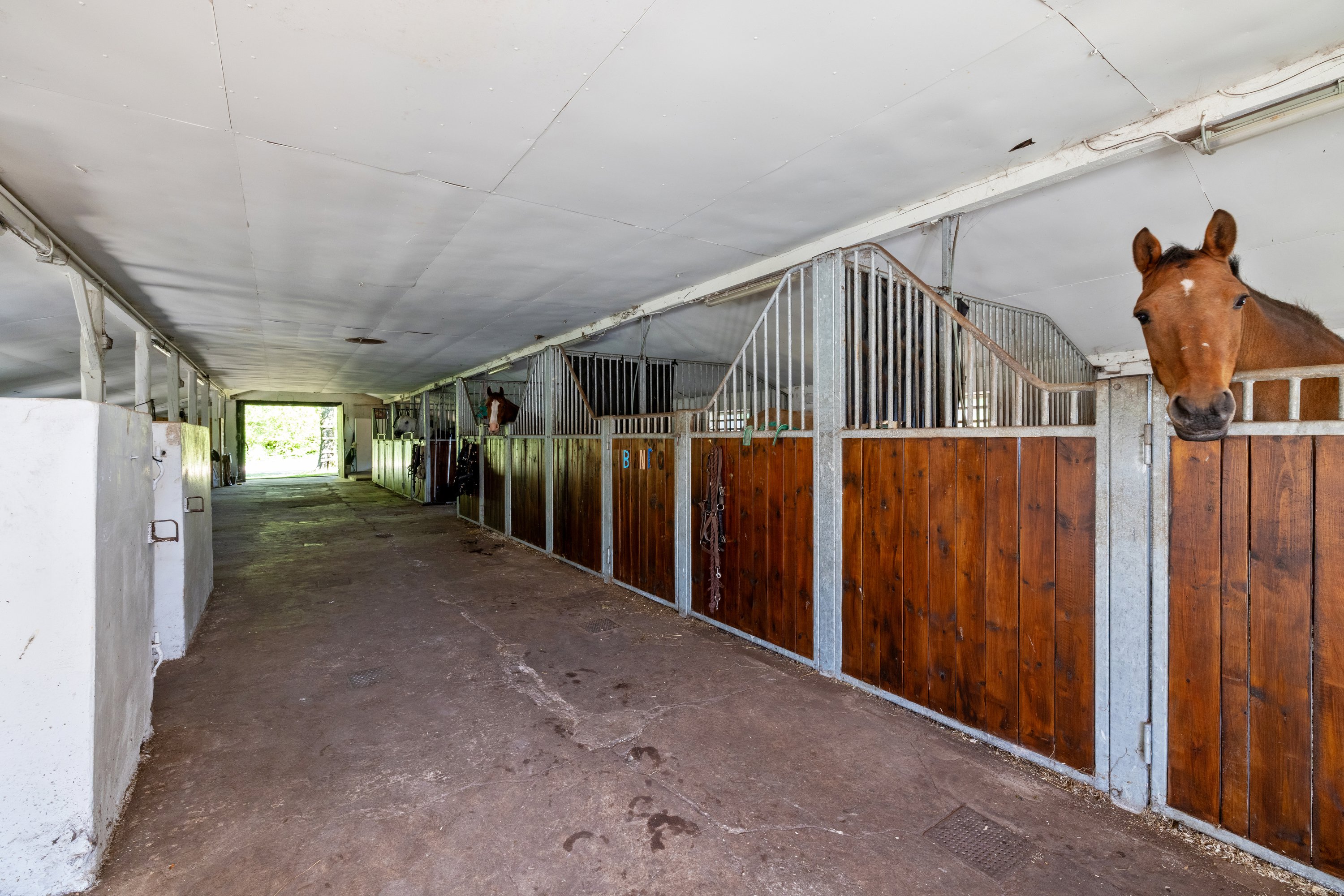 Miniaturebillede 2: stald. Billede af Ramskovvej 3, 8500 Grenaa