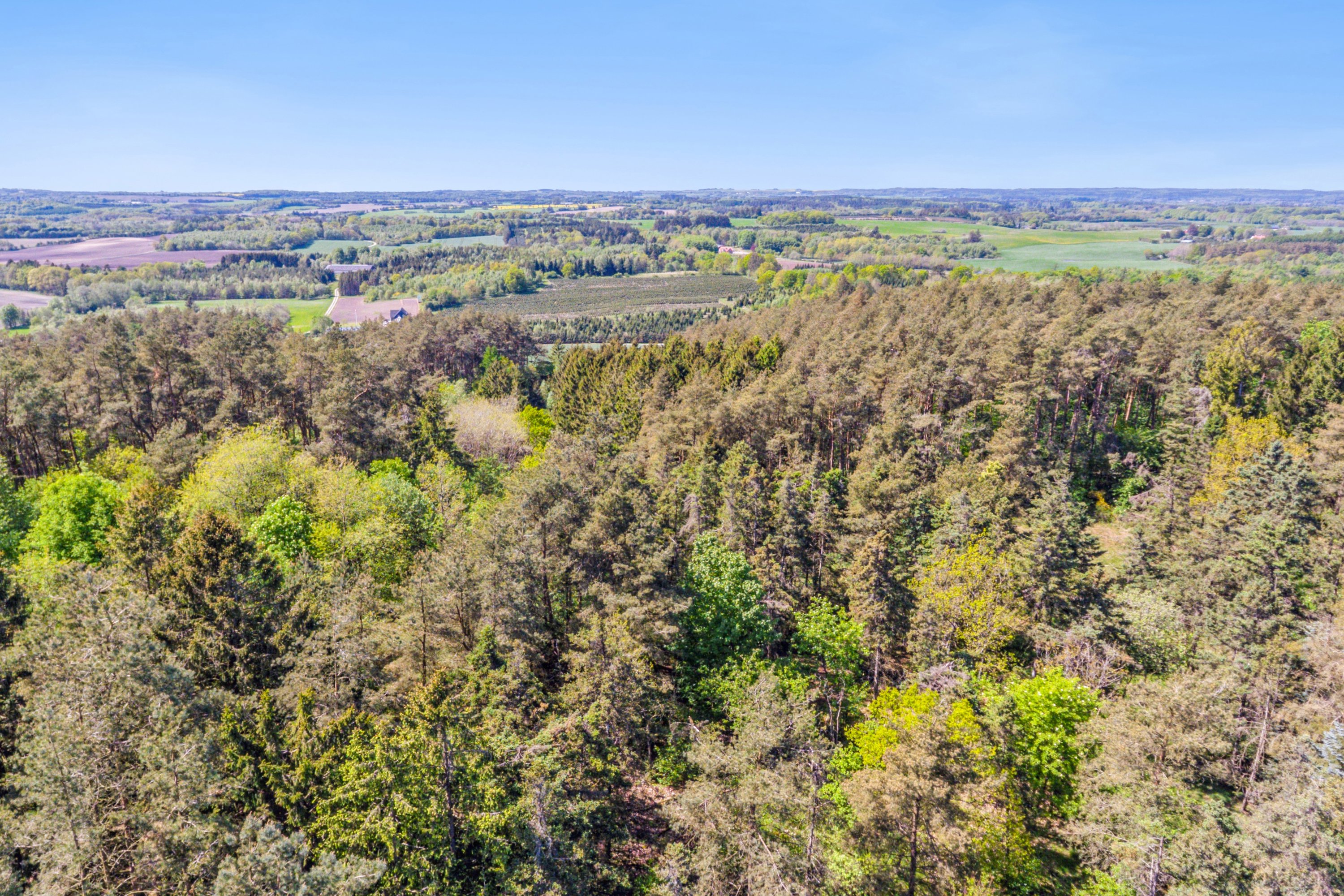 Fremhævet ejendom 1 billede i fuldskærmstilstand. Billede af Ambjergvej 4, Brøndbj Hede, 9560 Hadsund