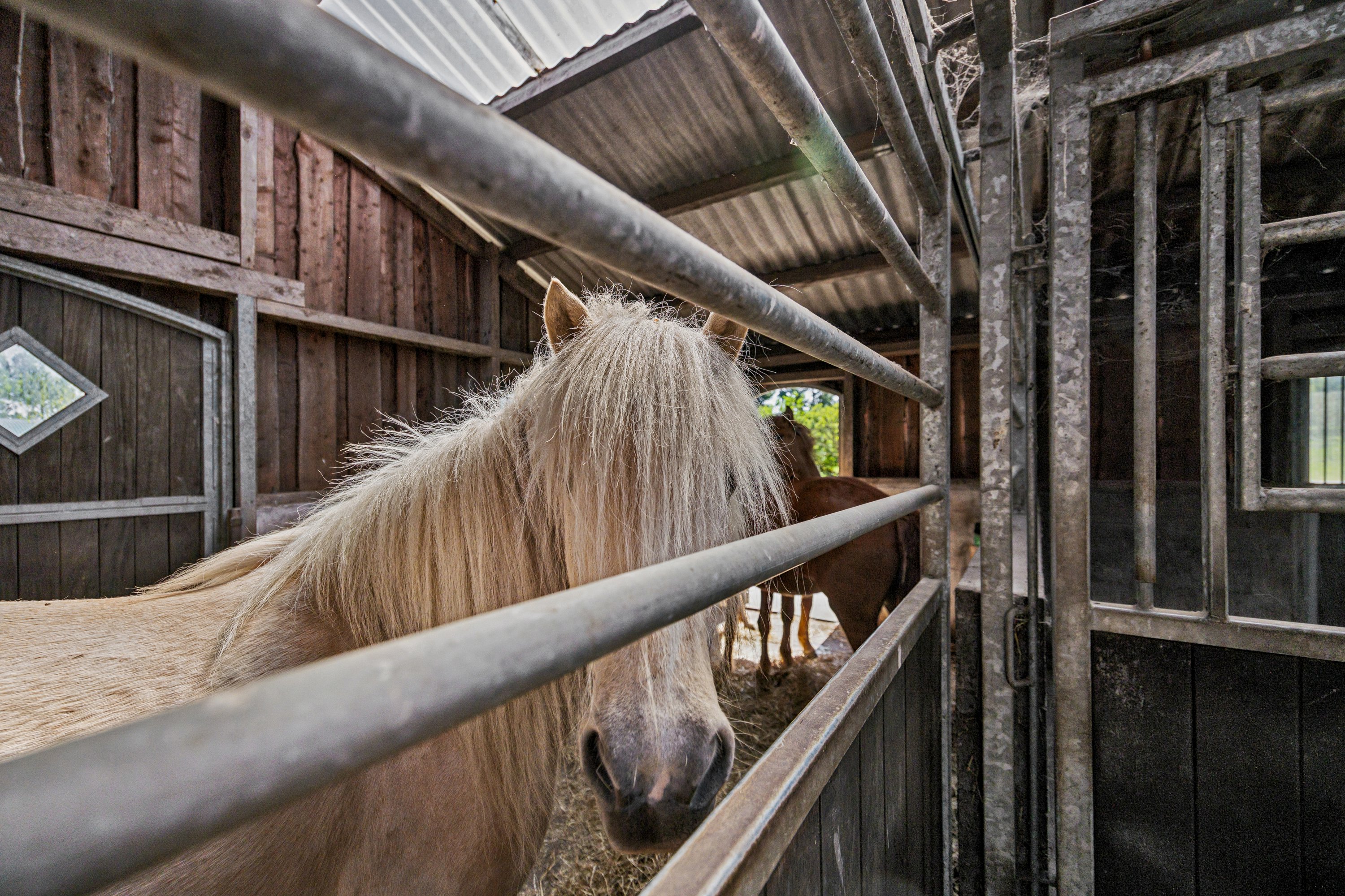 Fremhævet andet billede i fuldskærmstilstand. Billede af Ambjergvej 4, Brøndbj Hede, 9560 Hadsund
