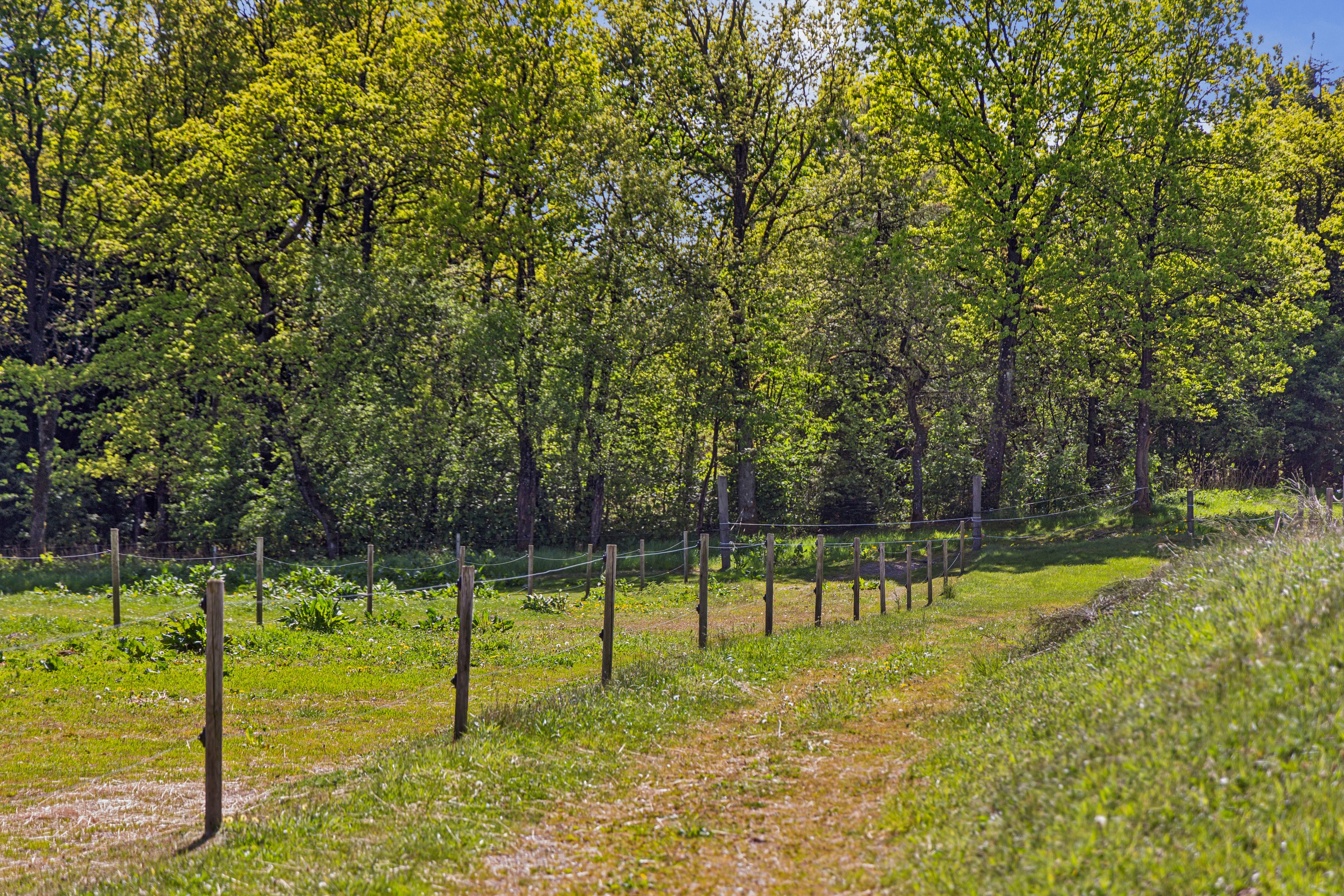 Fremhævet omgivelser billede i fuldskærmstilstand. Billede af Ambjergvej 4, Brøndbj Hede, 9560 Hadsund