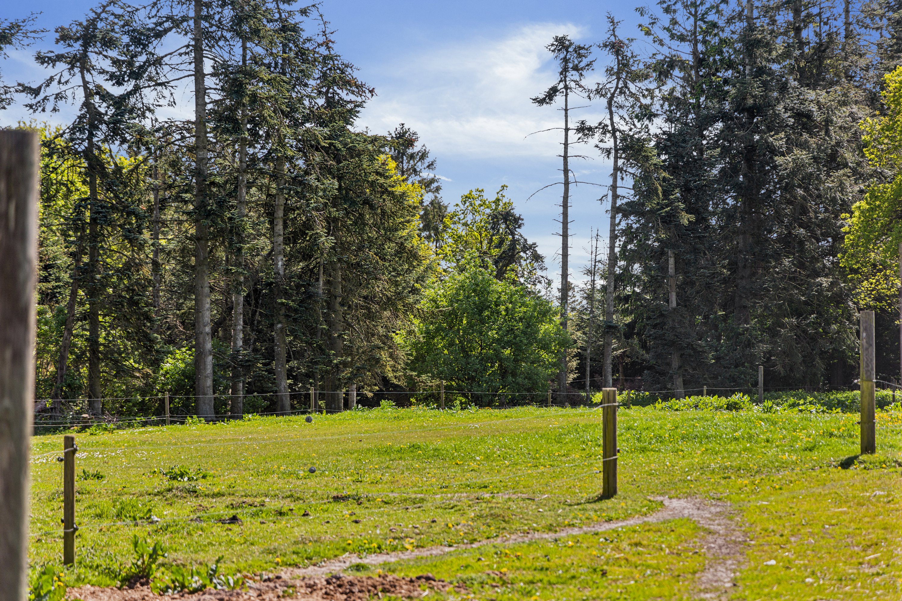 Fremhævet andet billede i fuldskærmstilstand. Billede af Ambjergvej 4, Brøndbj Hede, 9560 Hadsund