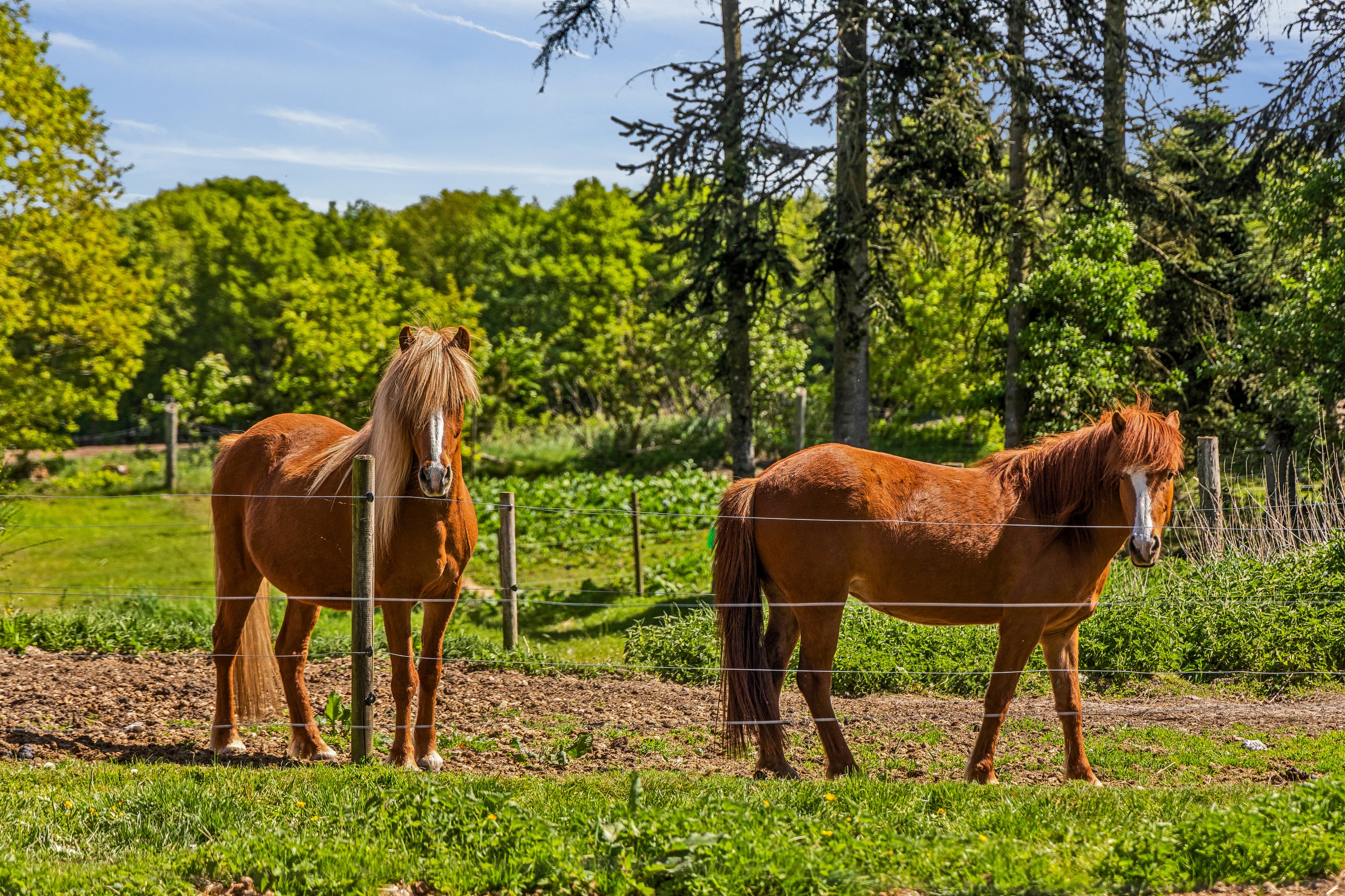 Fremhævet andet billede i fuldskærmstilstand. Billede af Ambjergvej 4, Brøndbj Hede, 9560 Hadsund