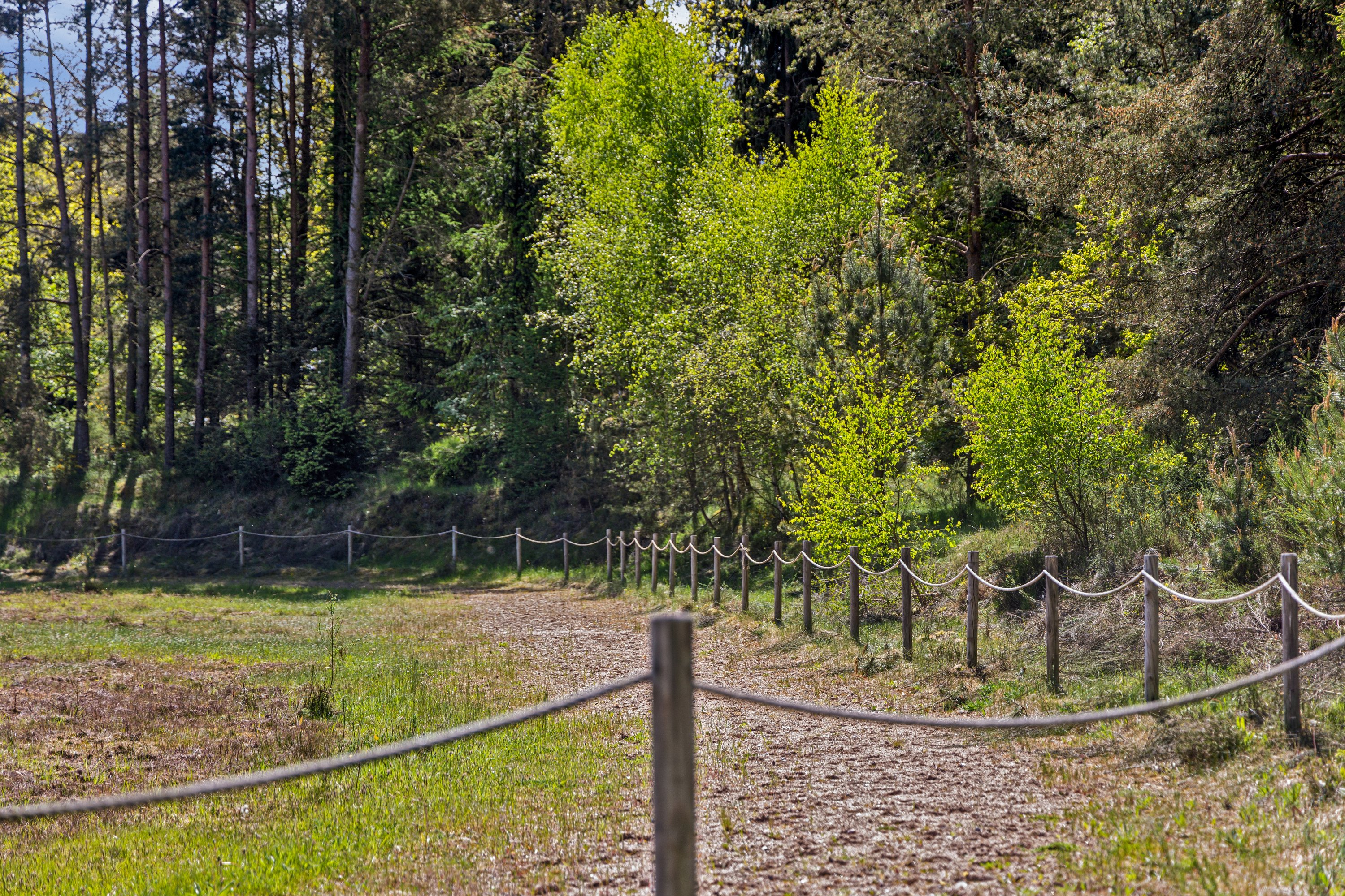 Fremhævet andet billede i fuldskærmstilstand. Billede af Ambjergvej 4, Brøndbj Hede, 9560 Hadsund