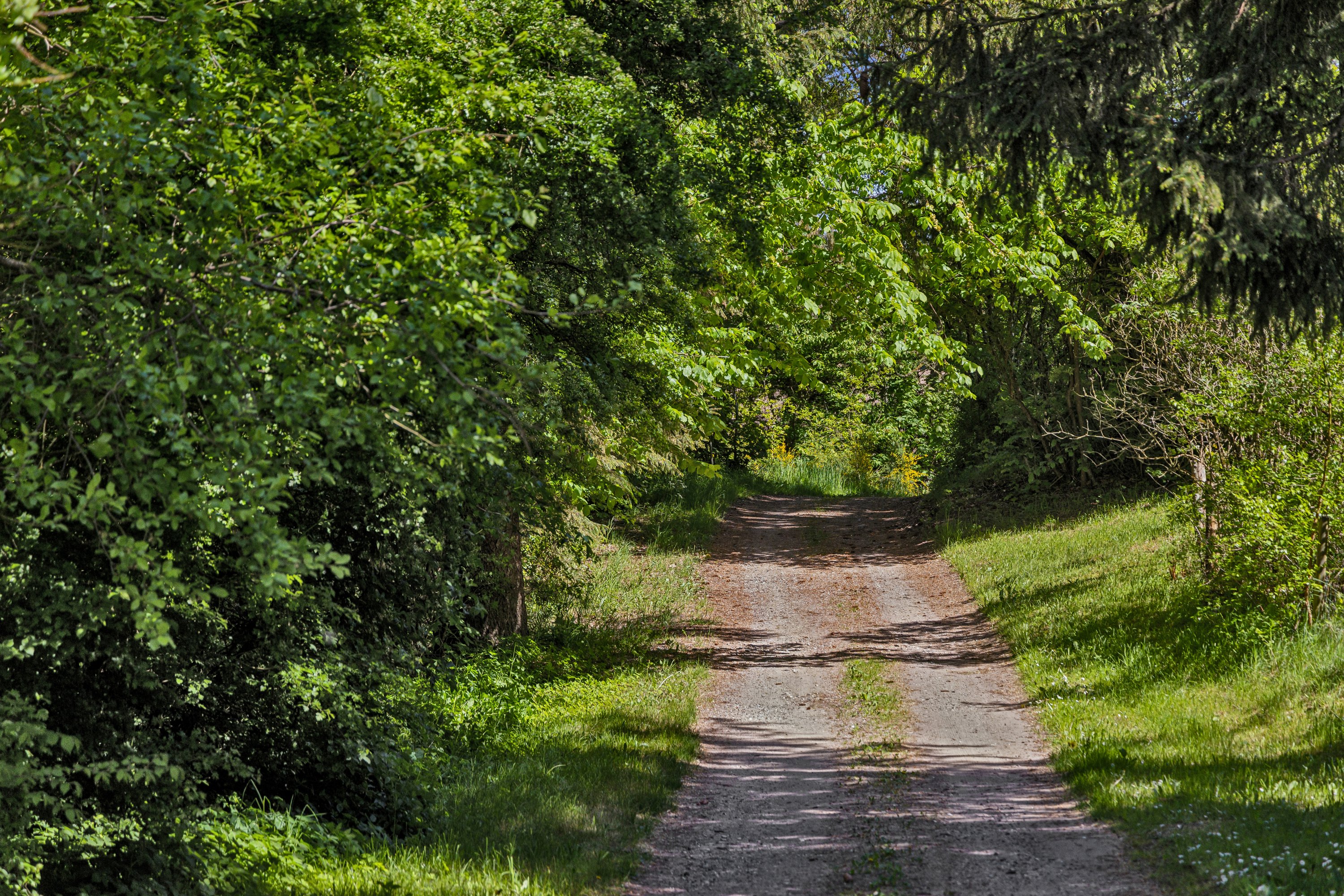 Fremhævet omgivelser billede i fuldskærmstilstand. Billede af Ambjergvej 4, Brøndbj Hede, 9560 Hadsund