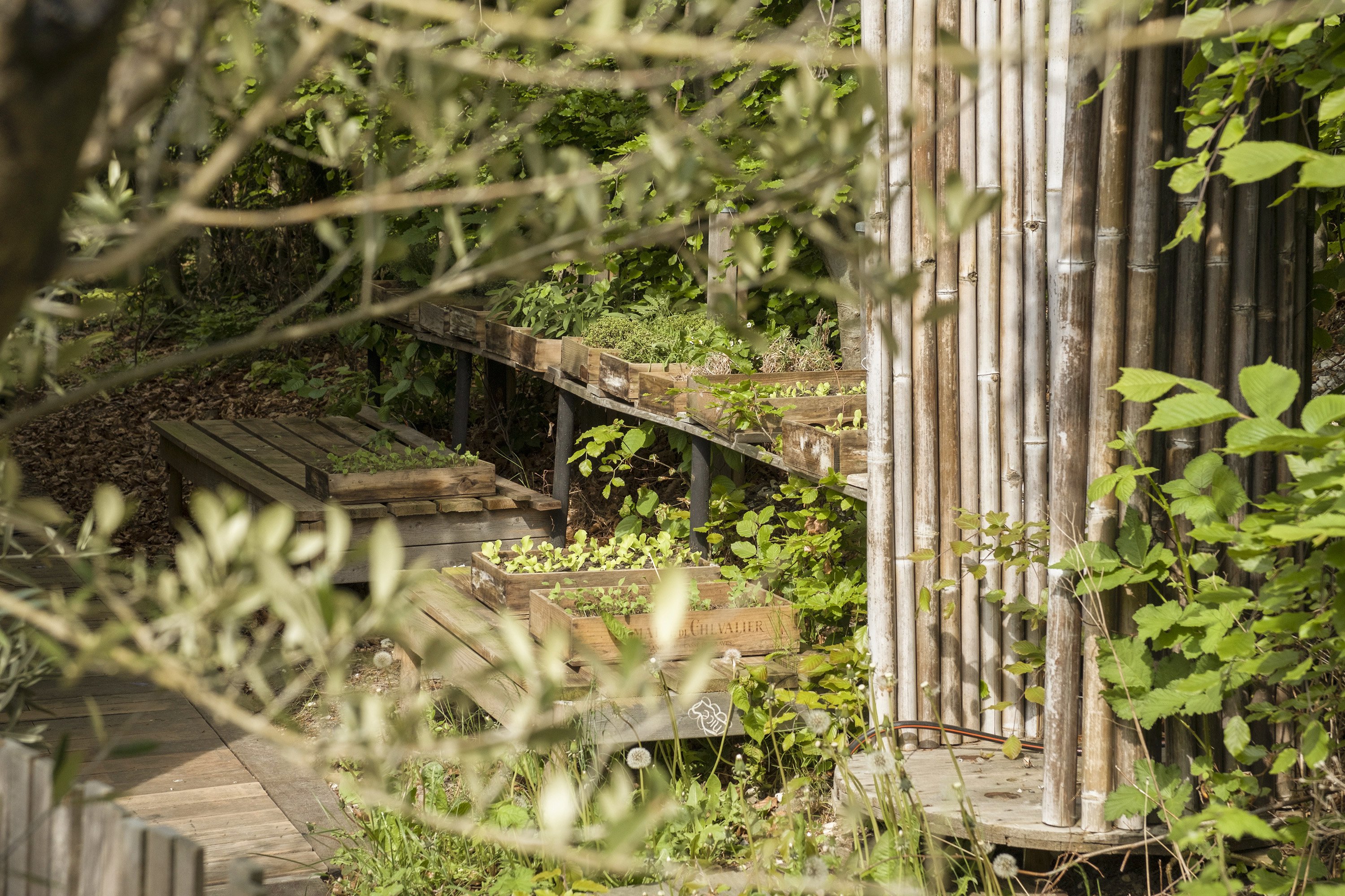 Fremhævet område billede i fuldskærmstilstand. Billede af Dalsgaardsvej 24, 2930 Klampenborg