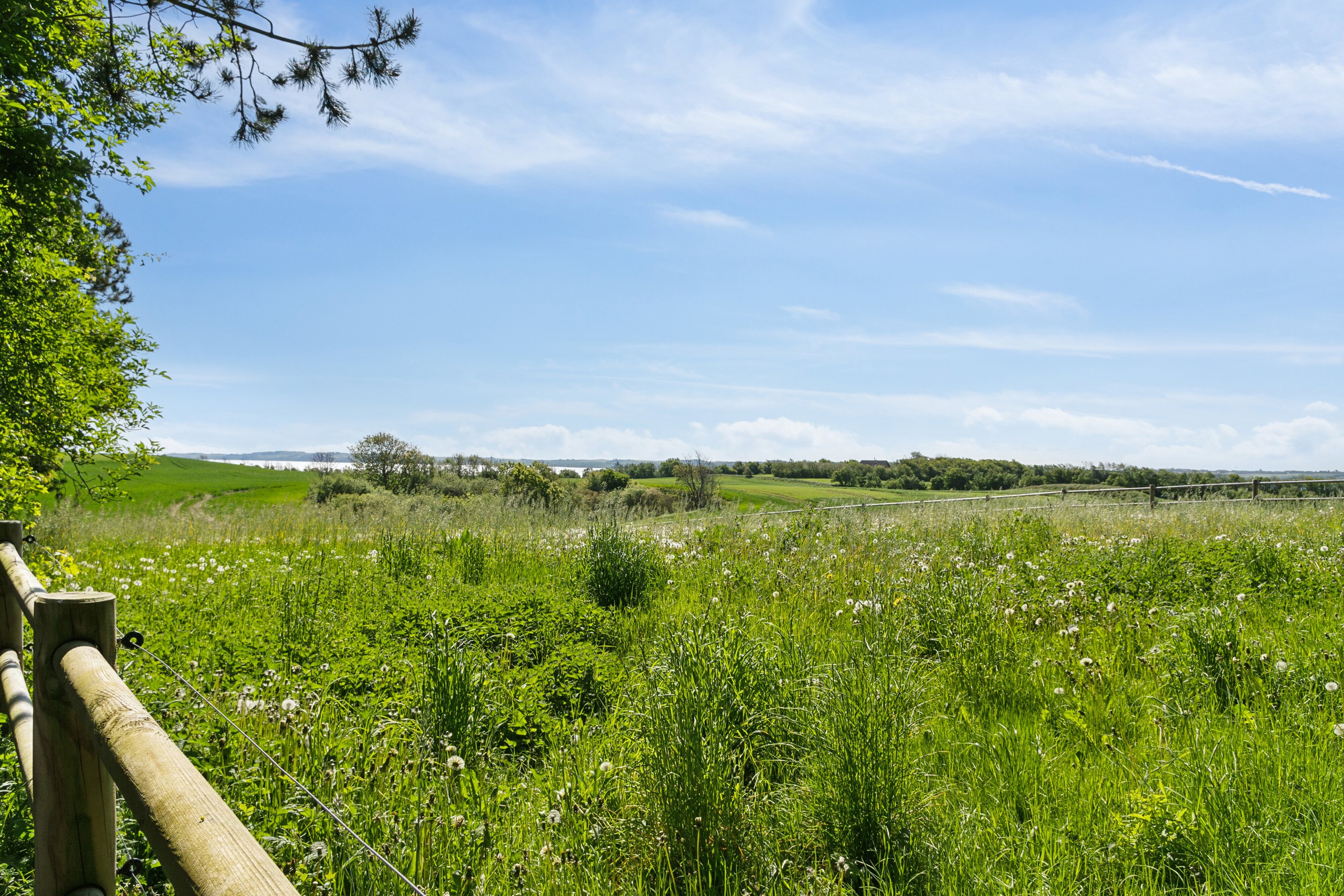 Fremhævet udendørs billede i fuldskærmstilstand. Billede af Åsvej 4, Silstrup, 7700 Thisted
