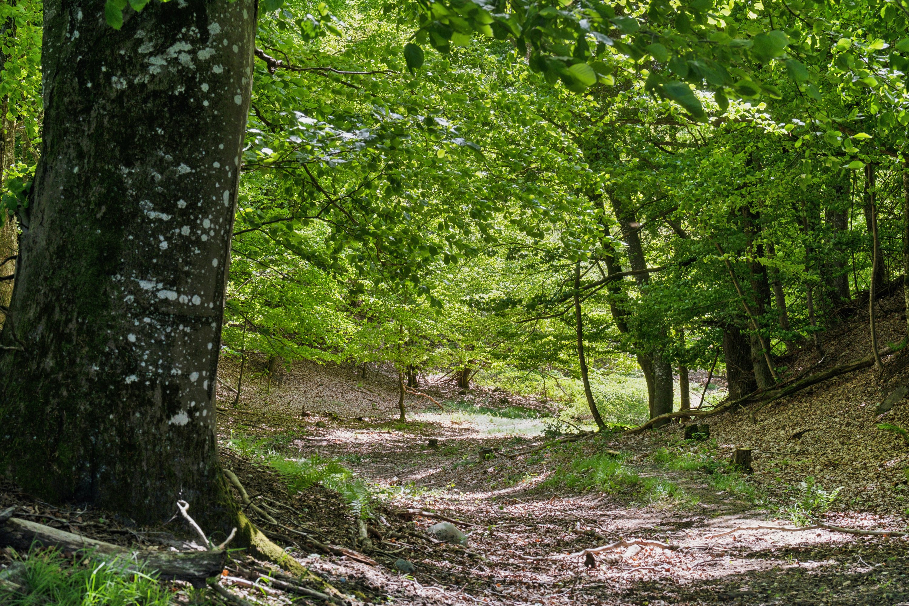 Fremhævet grund billede i fuldskærmstilstand. Billede af Torndalsvej 13, Åstrup, 9240 Nibe