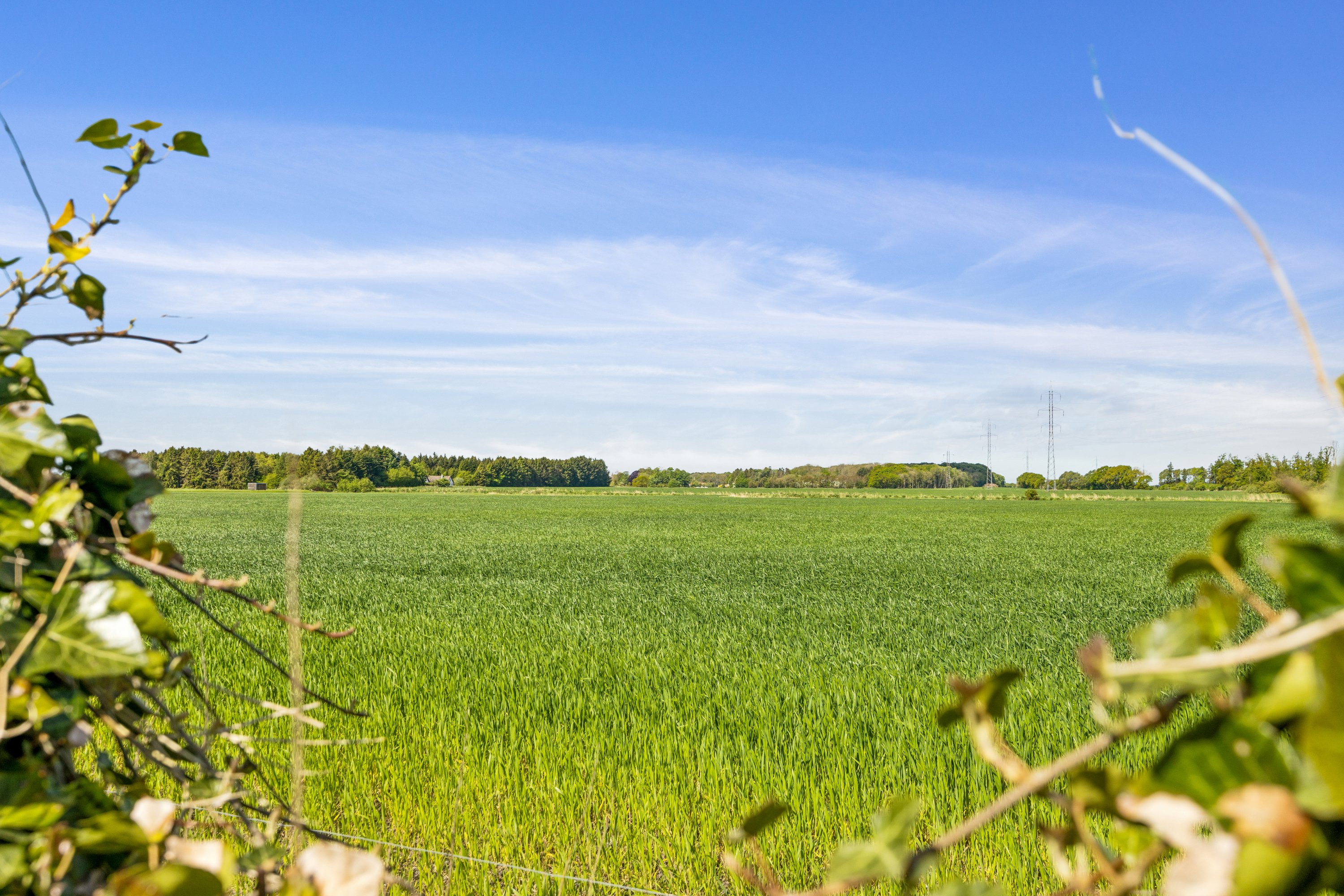 Miniaturebillede 2: udsigt. Billede af Hvorupgårdvej 46, 9400 Nørresundby