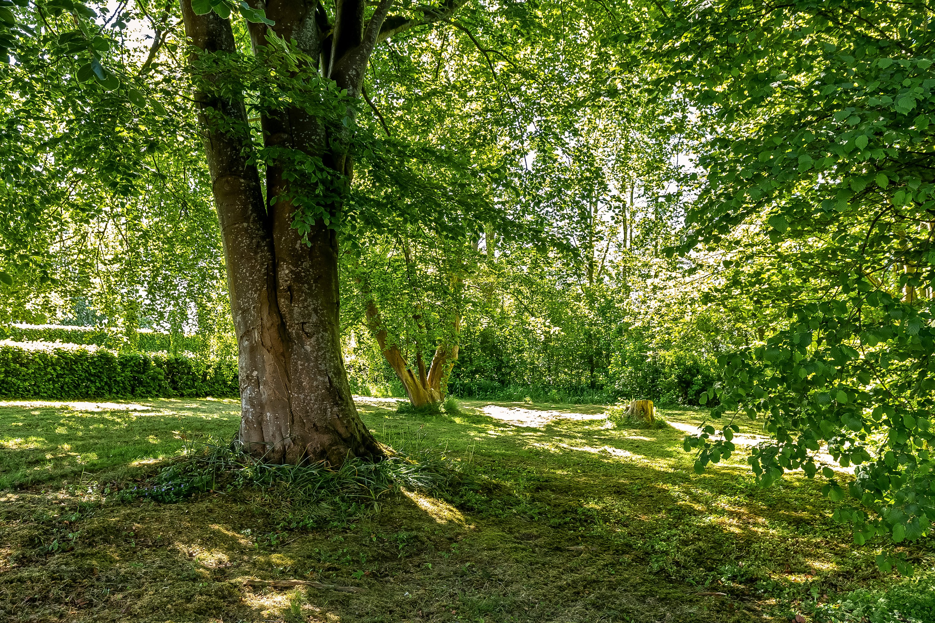 Fremhævet have billede i fuldskærmstilstand. Billede af Riglandsegvej 5, Drenderup, 6580 Vamdrup