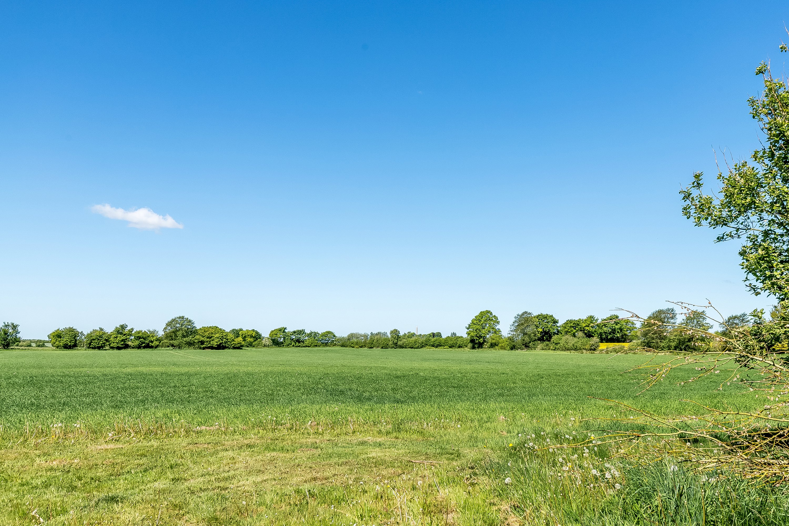 Miniaturebillede 2: udsigt. Billede af Riglandsegvej 5, Drenderup, 6580 Vamdrup