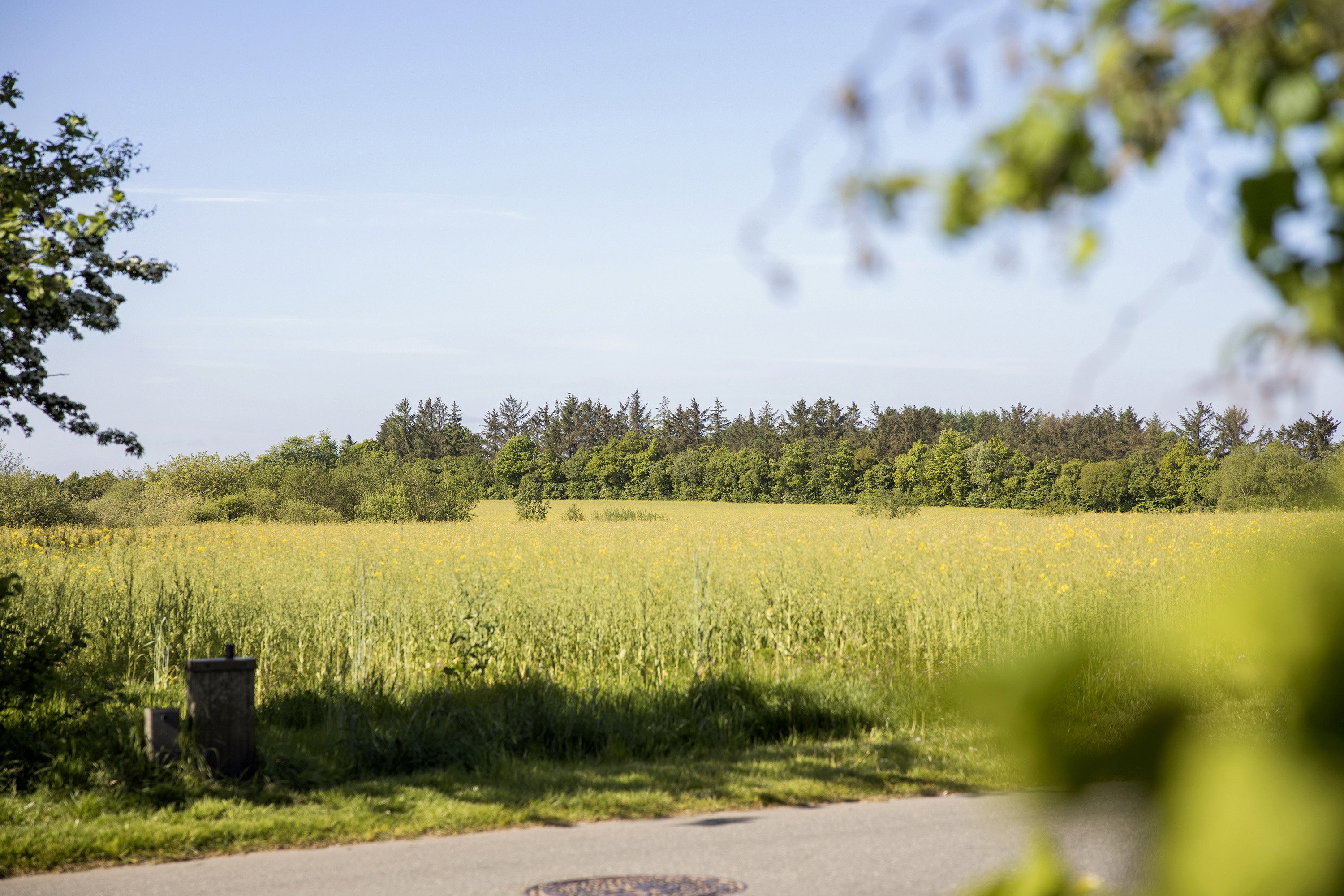Fremhævet ejendommen billede i fuldskærmstilstand. Billede af Surhavevej 10, Gjerndrup, 6650 Brørup