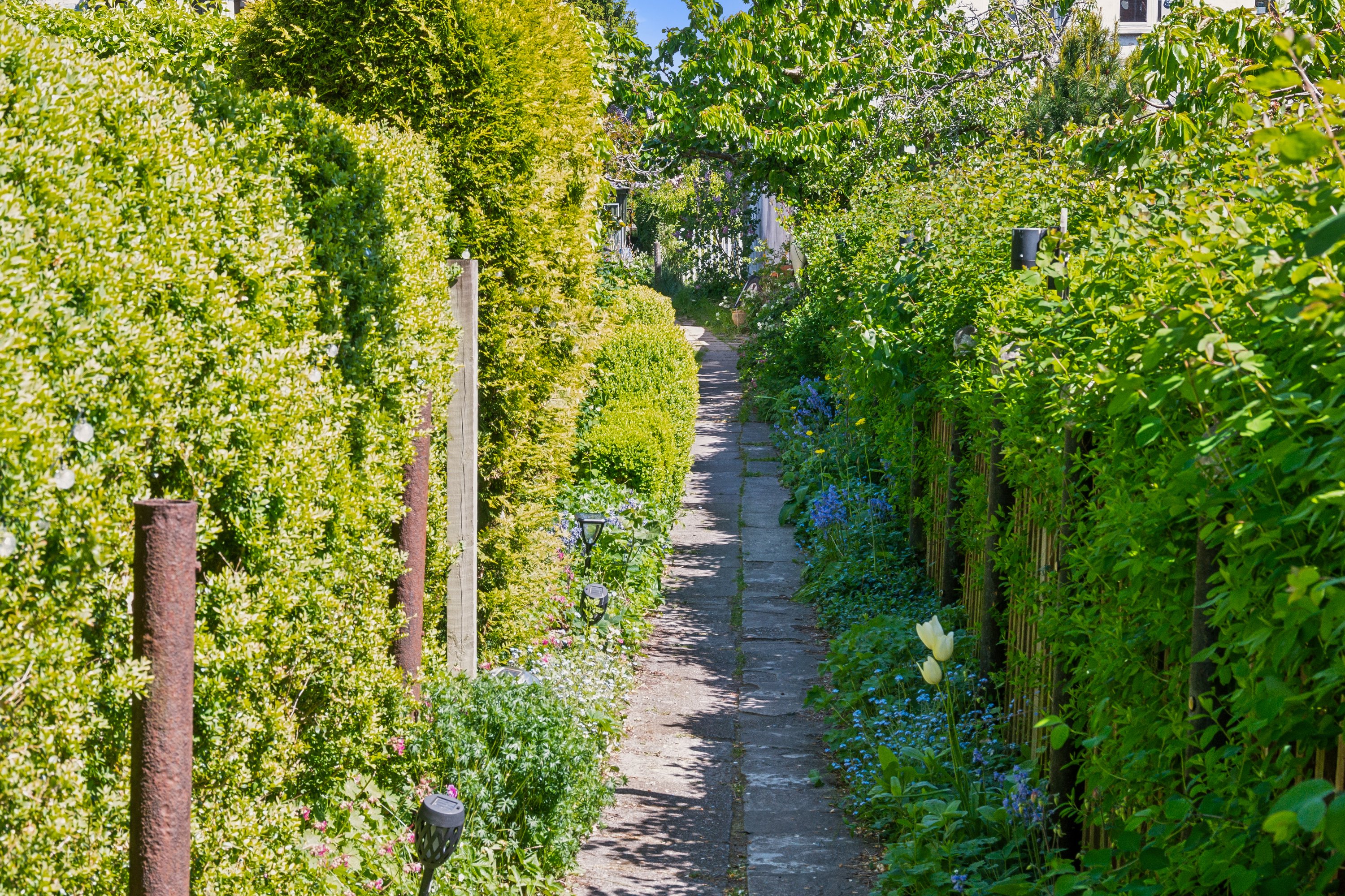 Fremhævet sti mod vandet  billede i fuldskærmstilstand. Billede af Lappen 18, 3000 Helsingør
