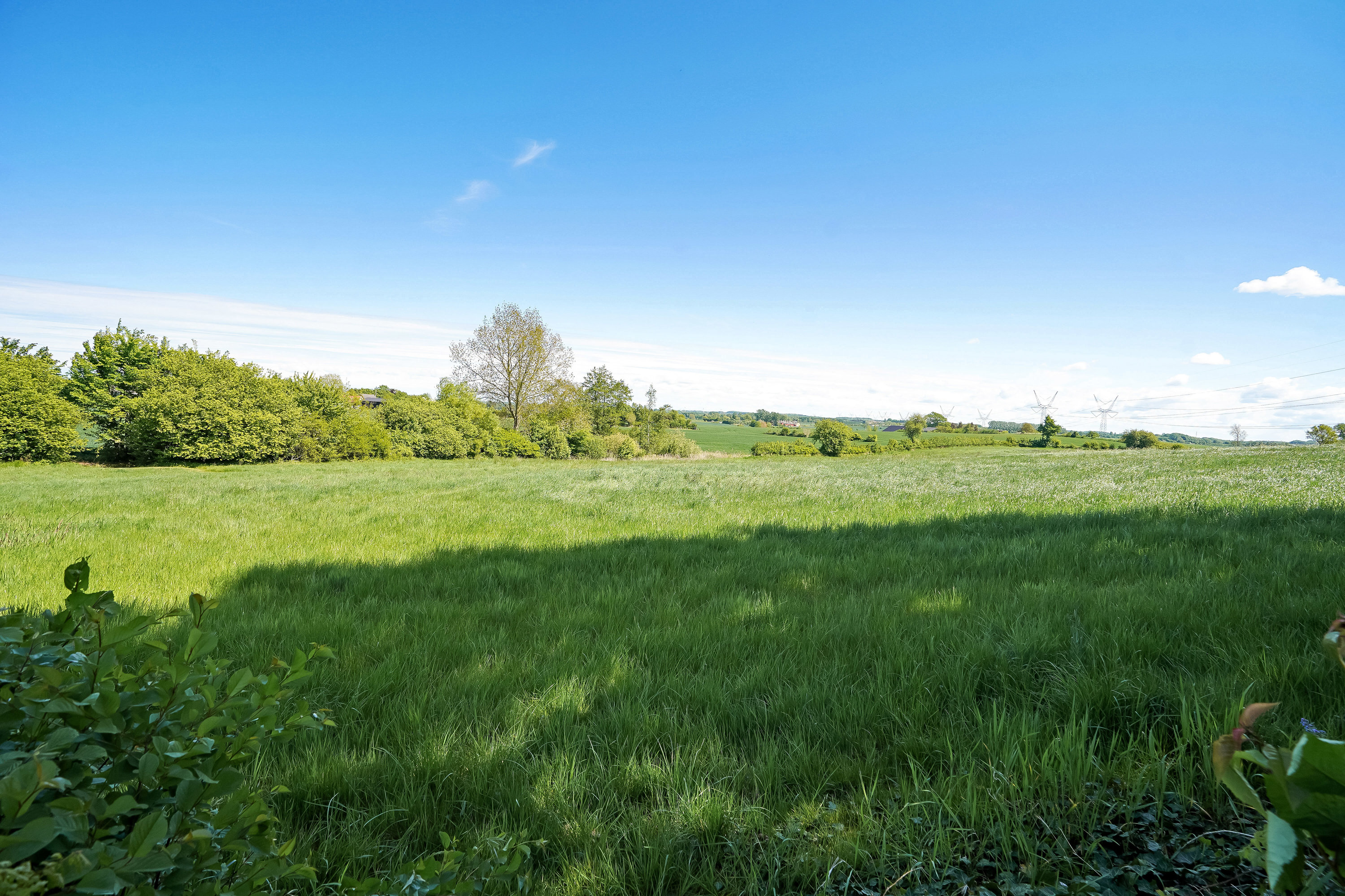 Fremhævet have billede i fuldskærmstilstand. Billede af Ørslevvej 16, Ellesø, 5592 Ejby