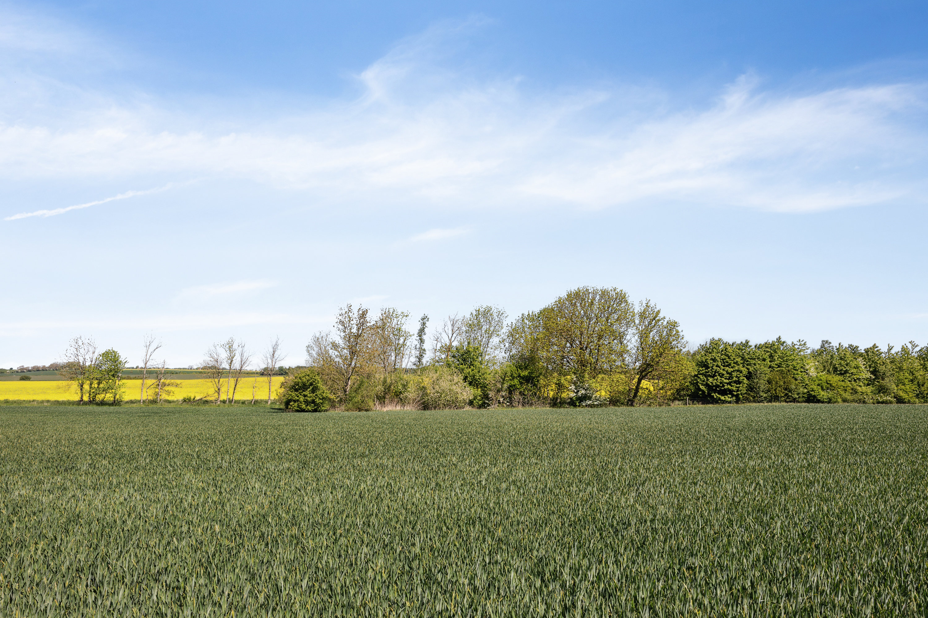 Fremhævet udsigt billede i fuldskærmstilstand. Billede af Kobækvej 9, St Ladager, 4623 Lille Skensved