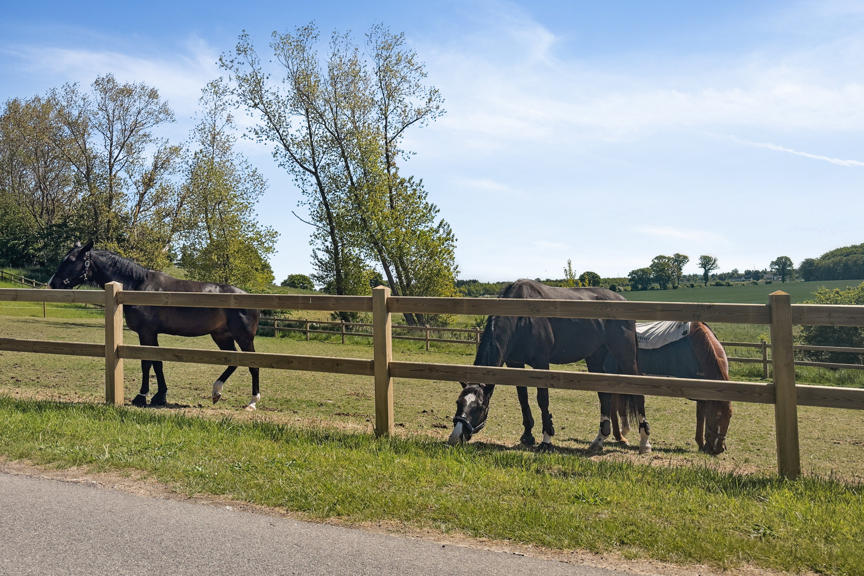 Fremhævet ejendom 1 billede i fuldskærmstilstand. Billede af Kobækvej 9, St Ladager, 4623 Lille Skensved