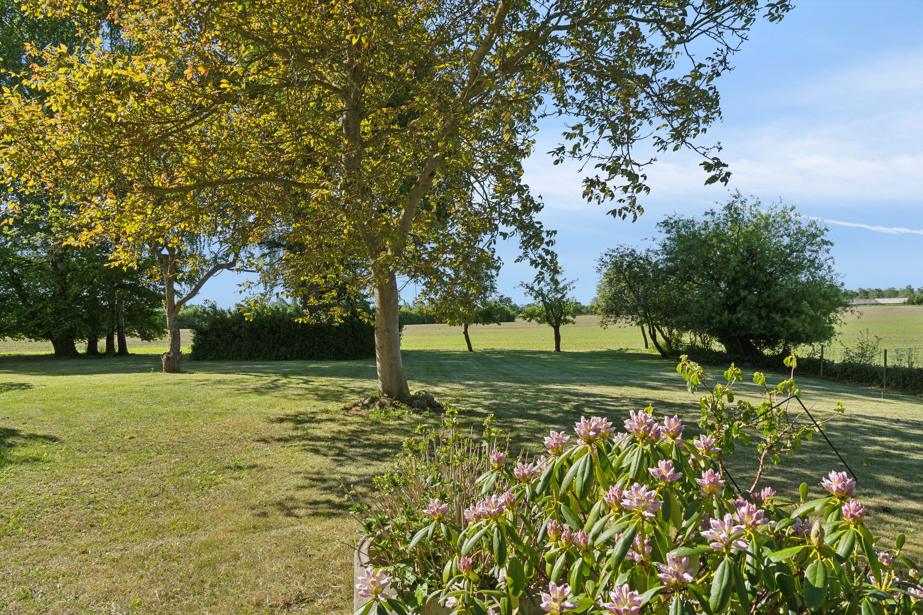 Fremhævet set fra haven billede i fuldskærmstilstand. Billede af Hundstrupvej 79, 5762 Vester Skerninge