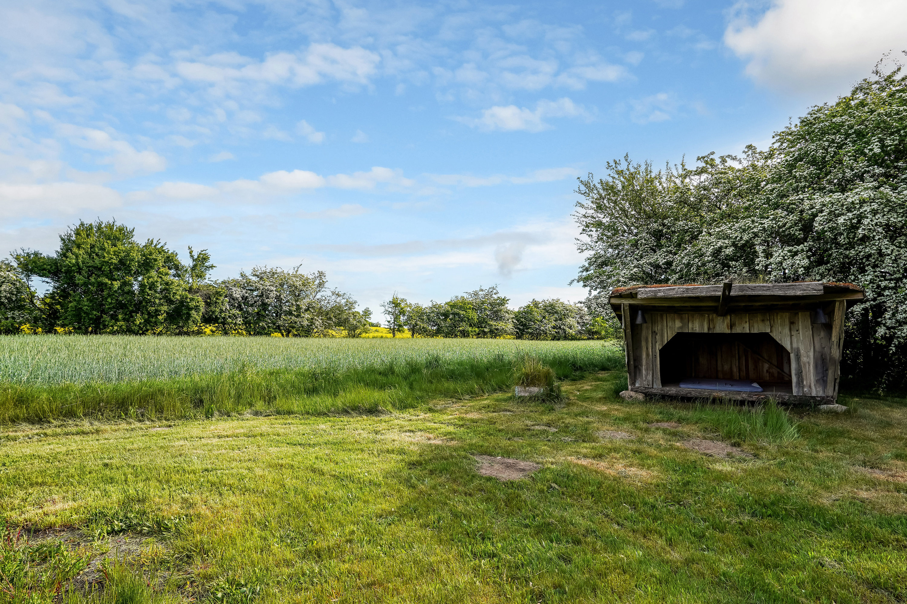 Miniaturebillede 1: have. Billede af Sandvadvej 17, 8765 Klovborg