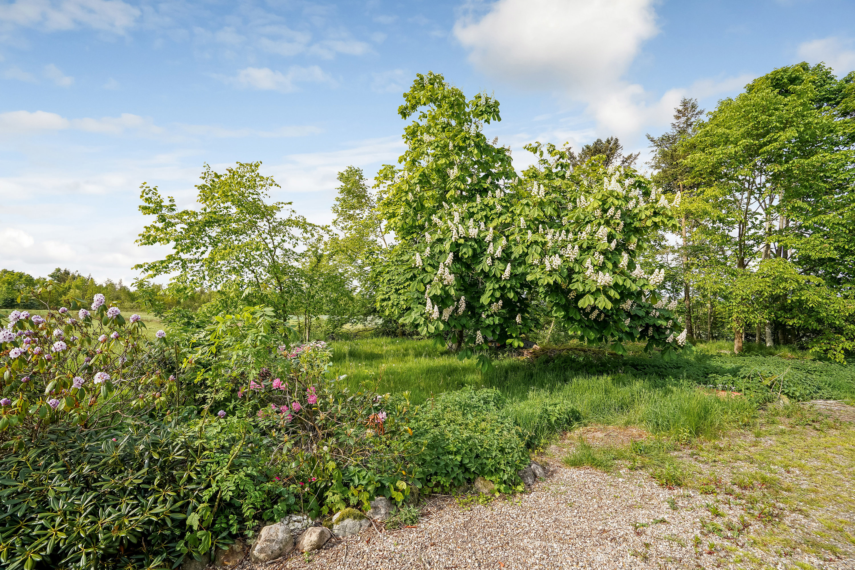 Fremhævet have billede i fuldskærmstilstand. Billede af Sandvadvej 17, 8765 Klovborg