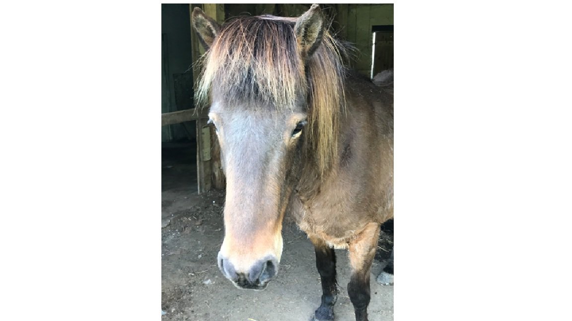Fremhævet  billede i fuldskærmstilstand. Billede af Holbækgårdvej 2, Revsø, 6070 Christiansfeld