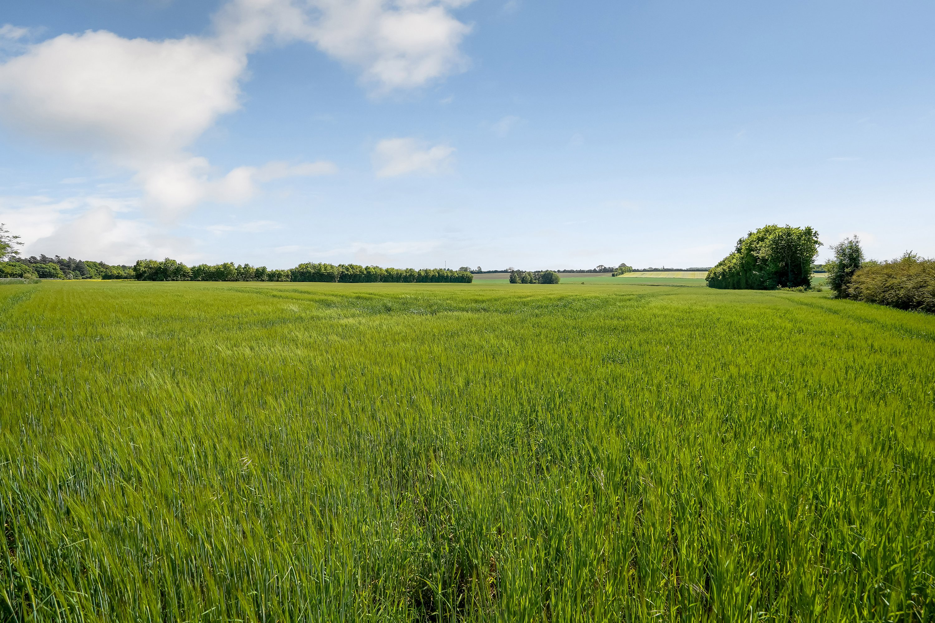 Fremhævet område billede i fuldskærmstilstand. Billede af Ruerne 10, Tellerup, 5591 Gelsted
