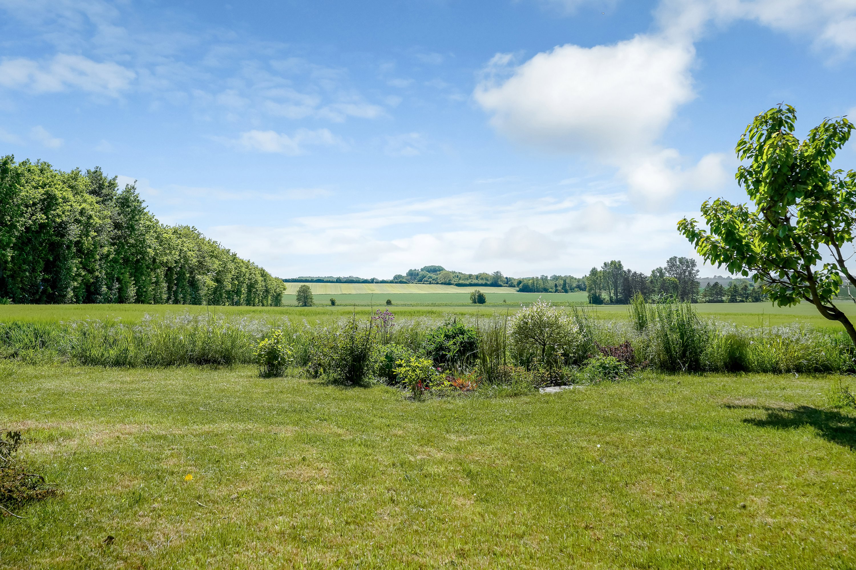 Miniaturebillede 1: have. Billede af Ruerne 10, Tellerup, 5591 Gelsted