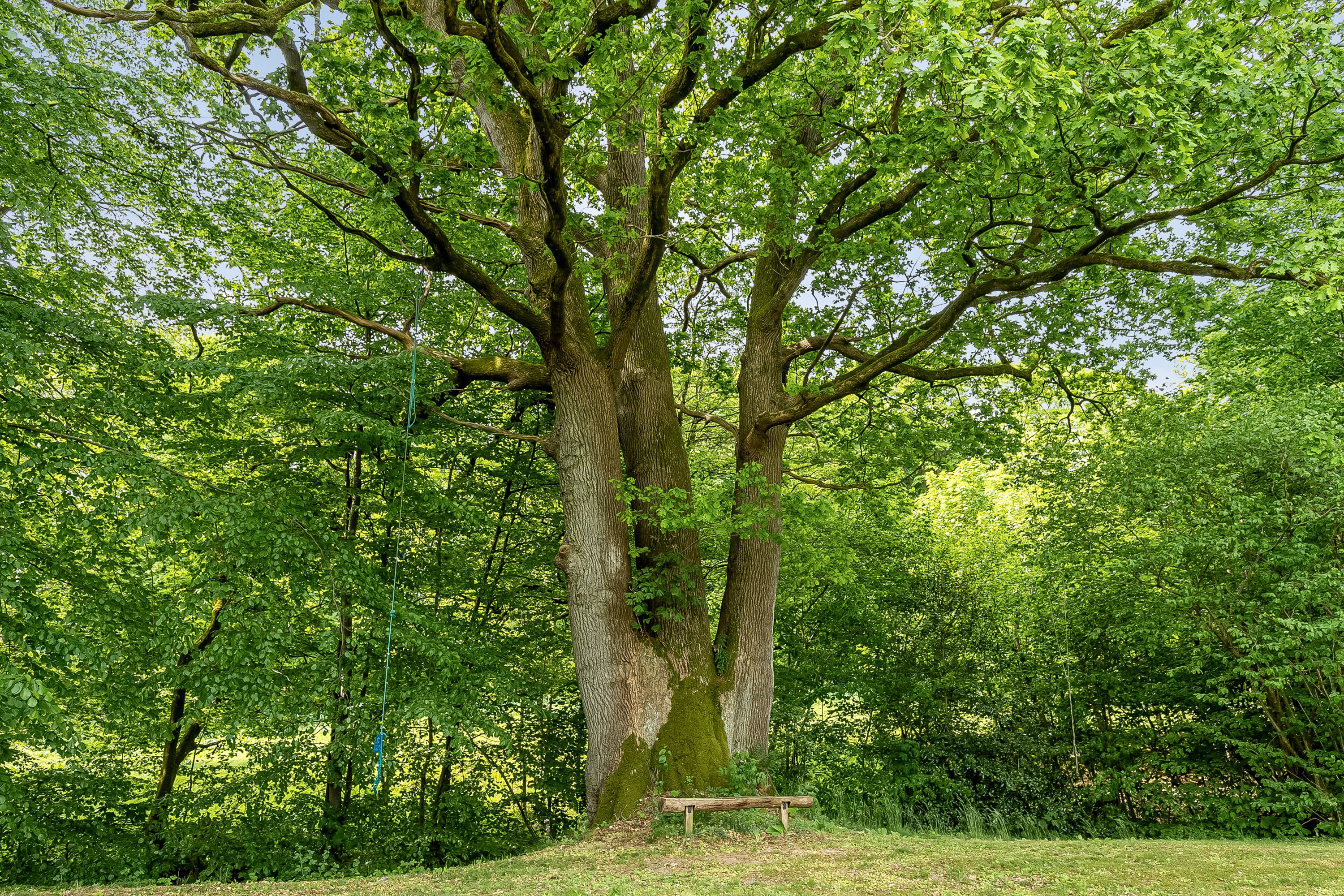 Fremhævet have billede i fuldskærmstilstand. Billede af Holbækgårdvej 2, Revsø, 6070 Christiansfeld