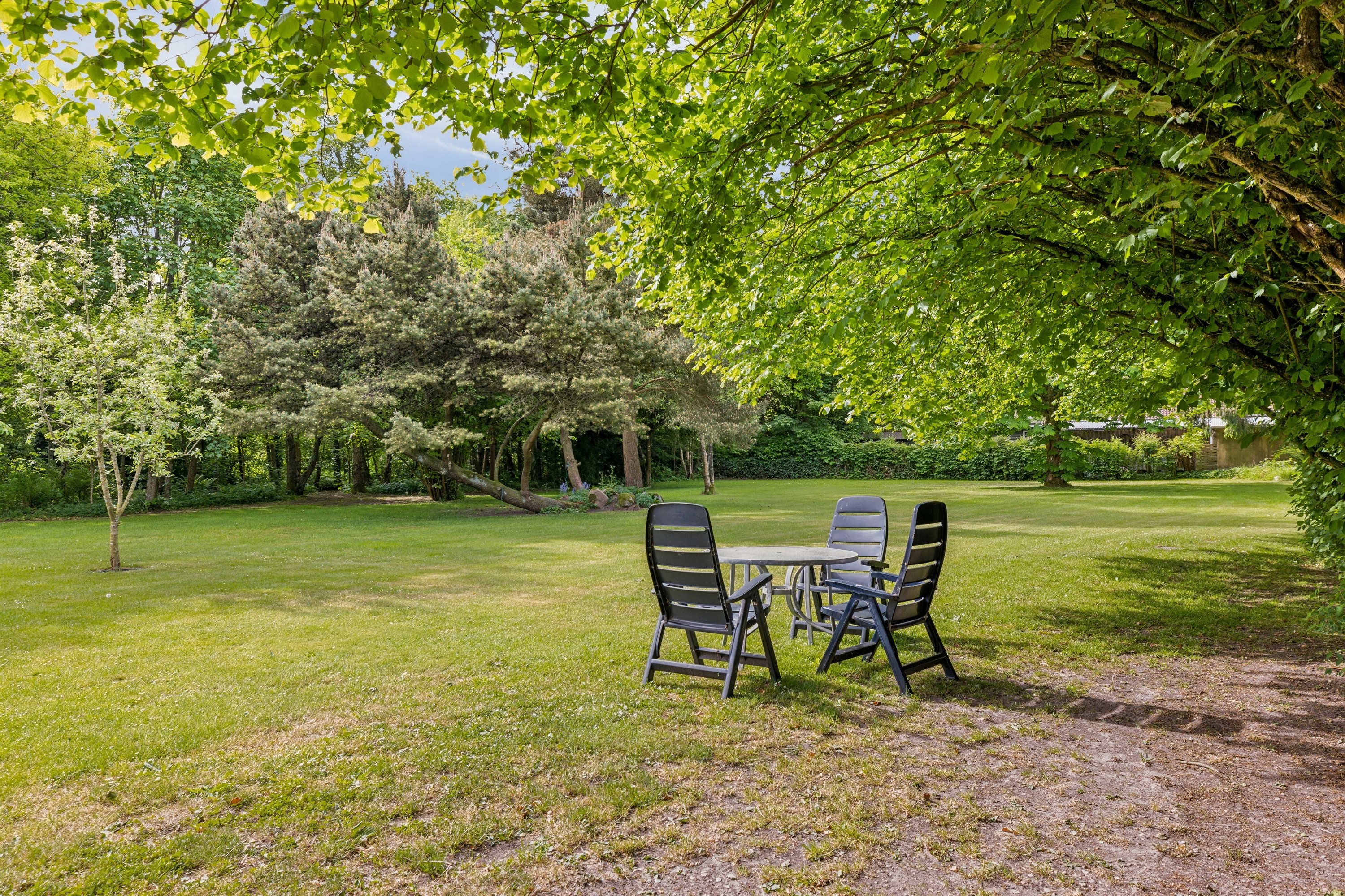 Miniaturebillede 2: have. Billede af Ribevej 65, Hviding, 6760 Ribe