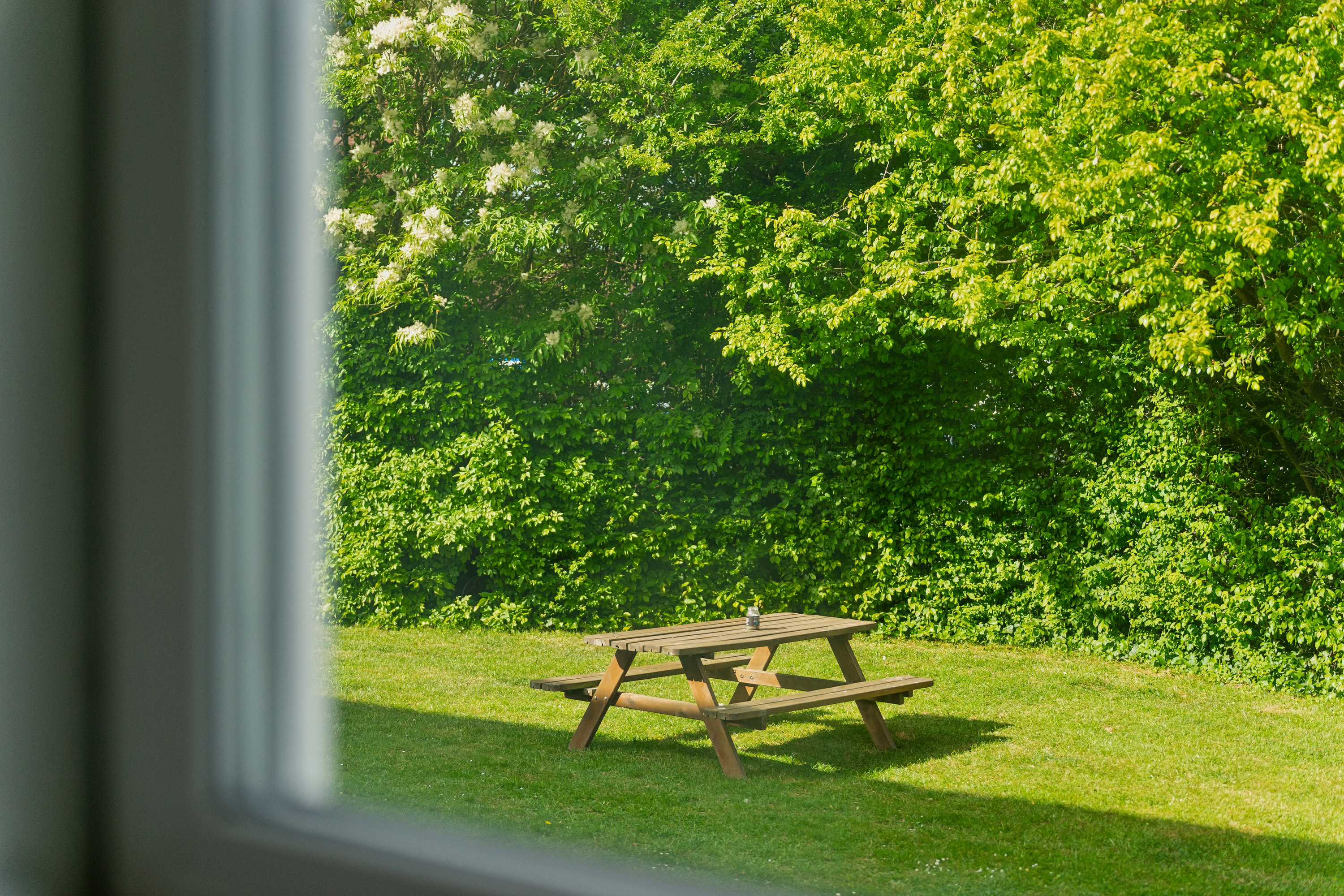 Fremhævet have billede i fuldskærmstilstand. Billede af Gl. Lervang 17, st.. tv., 8930 Randers NØ