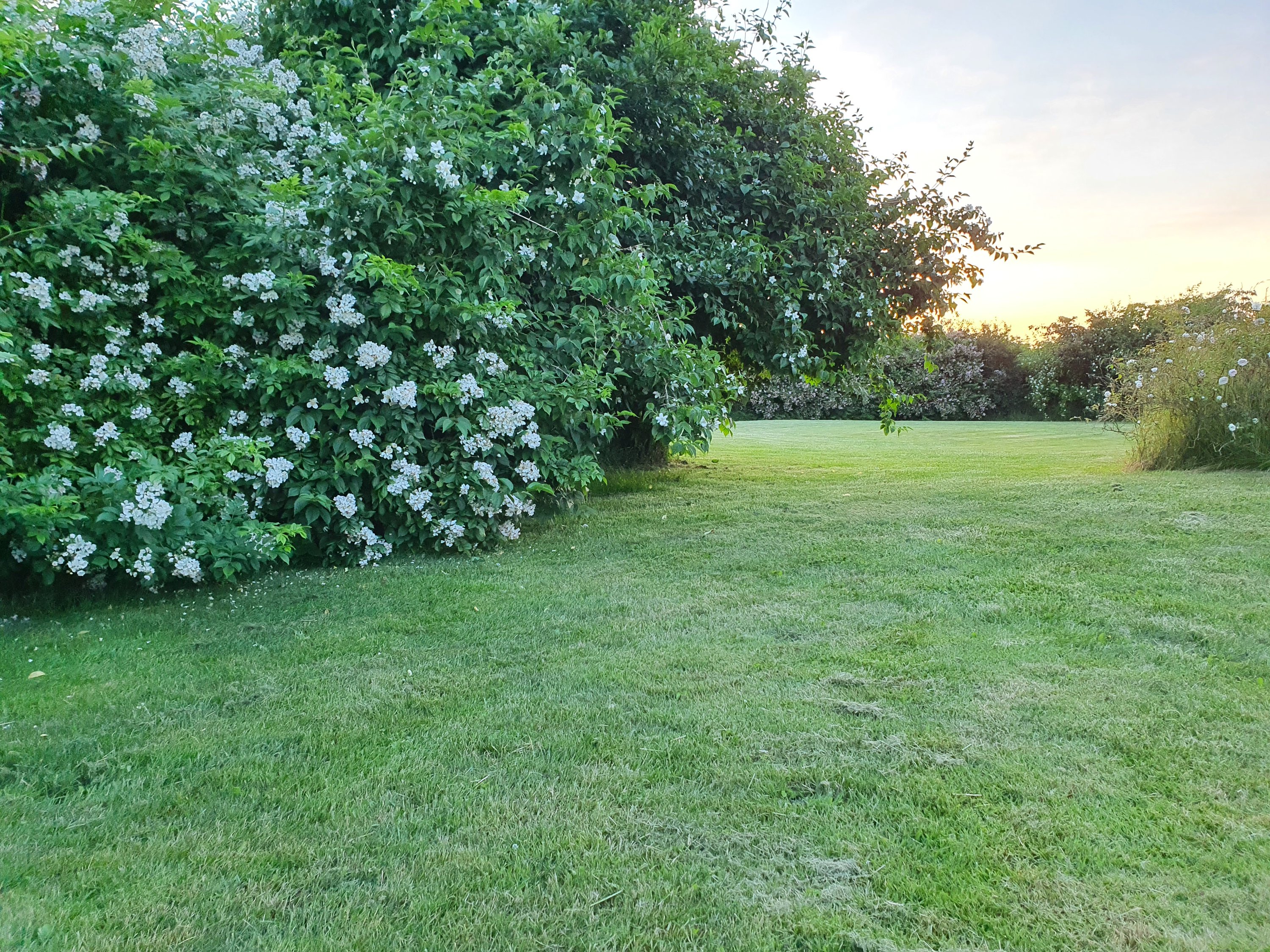 Fremhævet  billede i fuldskærmstilstand. Billede af Møldrupvej 1C, Yding, 8752 Østbirk