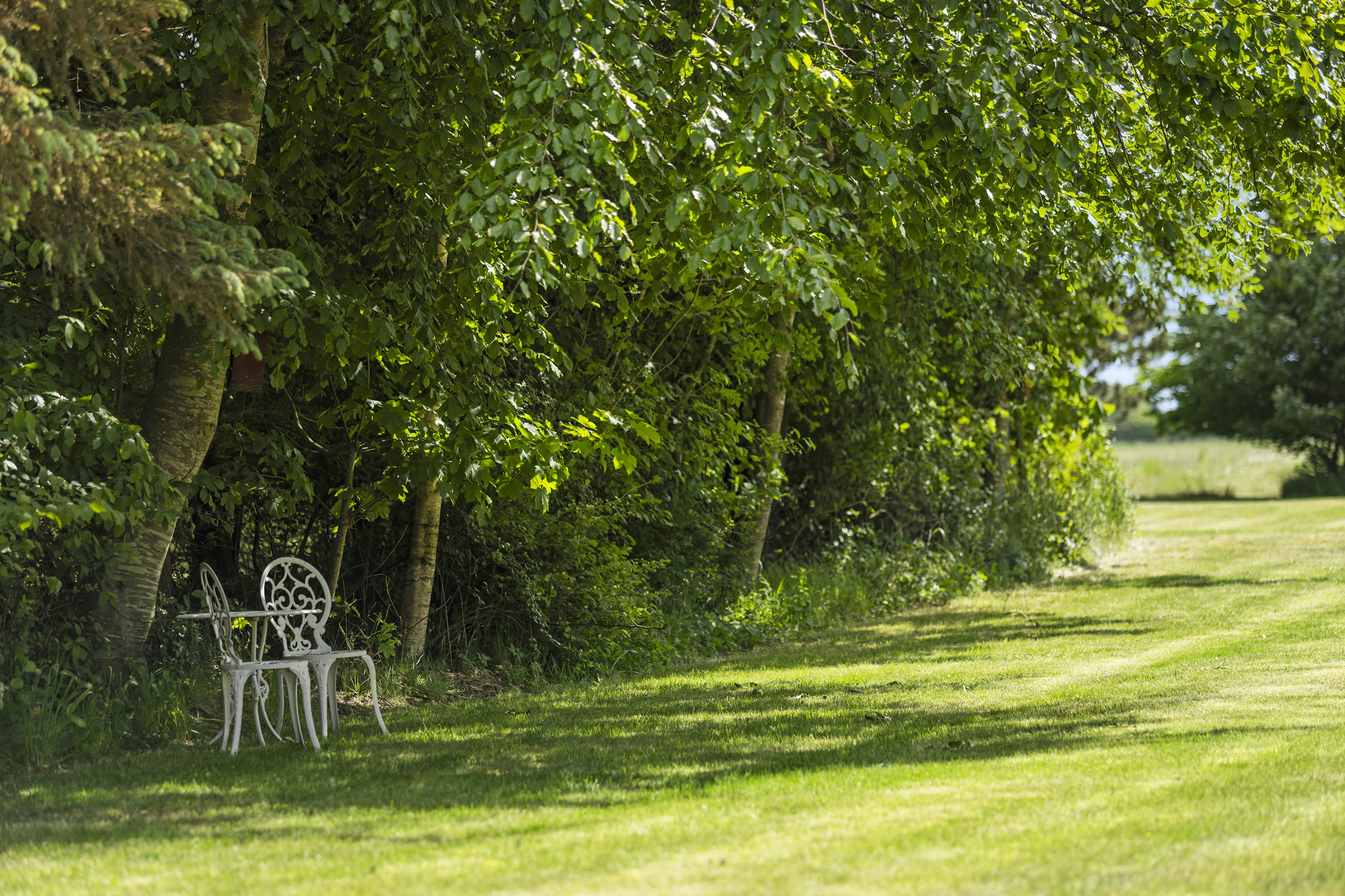Fremhævet have billede i fuldskærmstilstand. Billede af Engvej 8, Lyngså, 9300 Sæby