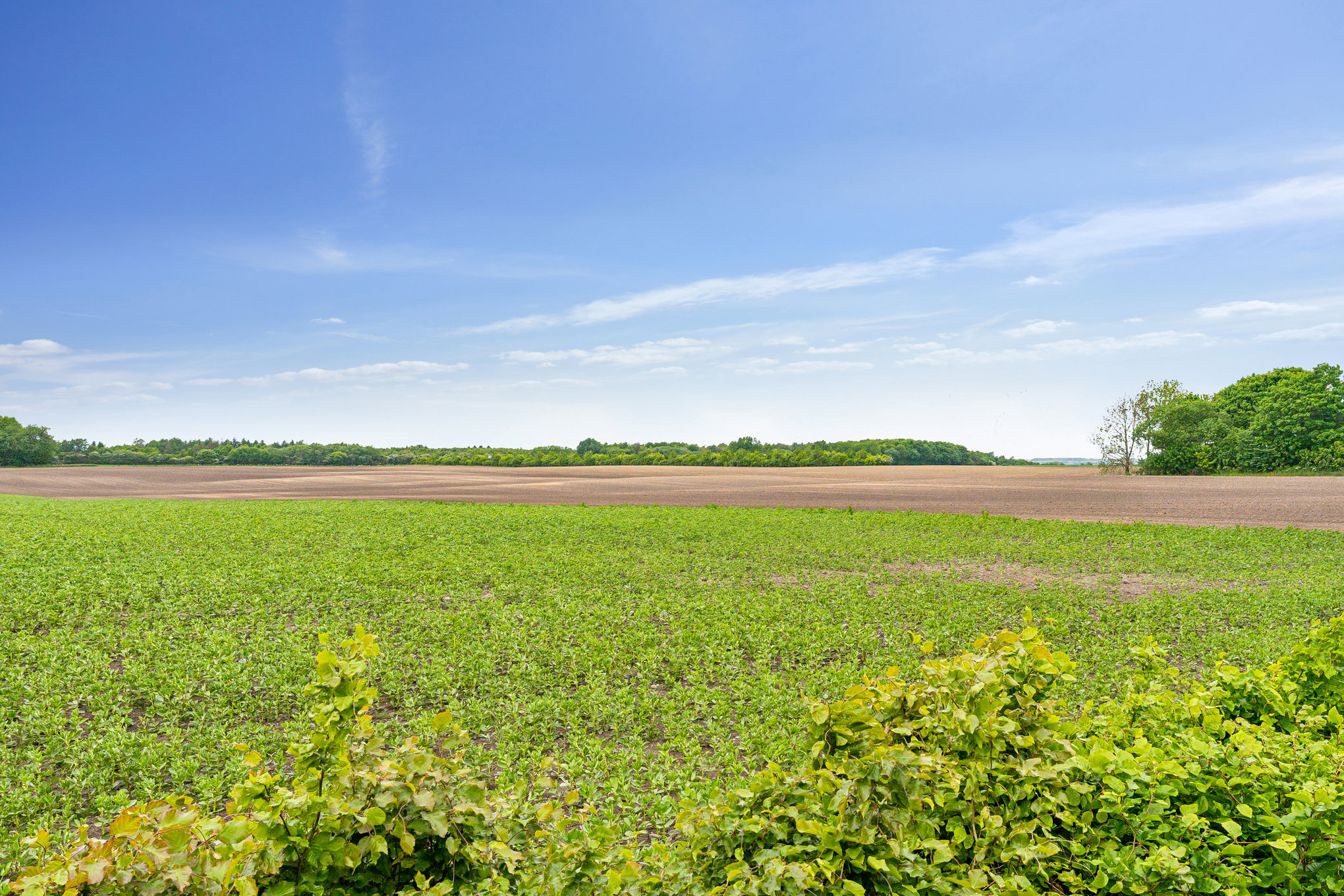Fremhævet omgivelser billede i fuldskærmstilstand. Billede af Læstenvej 6, Nørbæk, 8990 Fårup