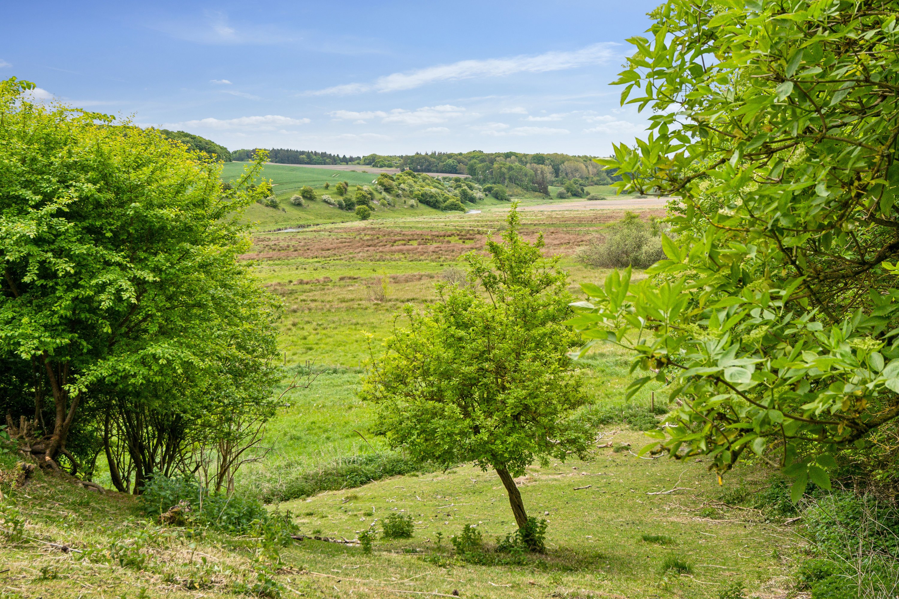Miniaturebillede 1: have. Billede af Volsted Skolevej 49, 9530 Støvring