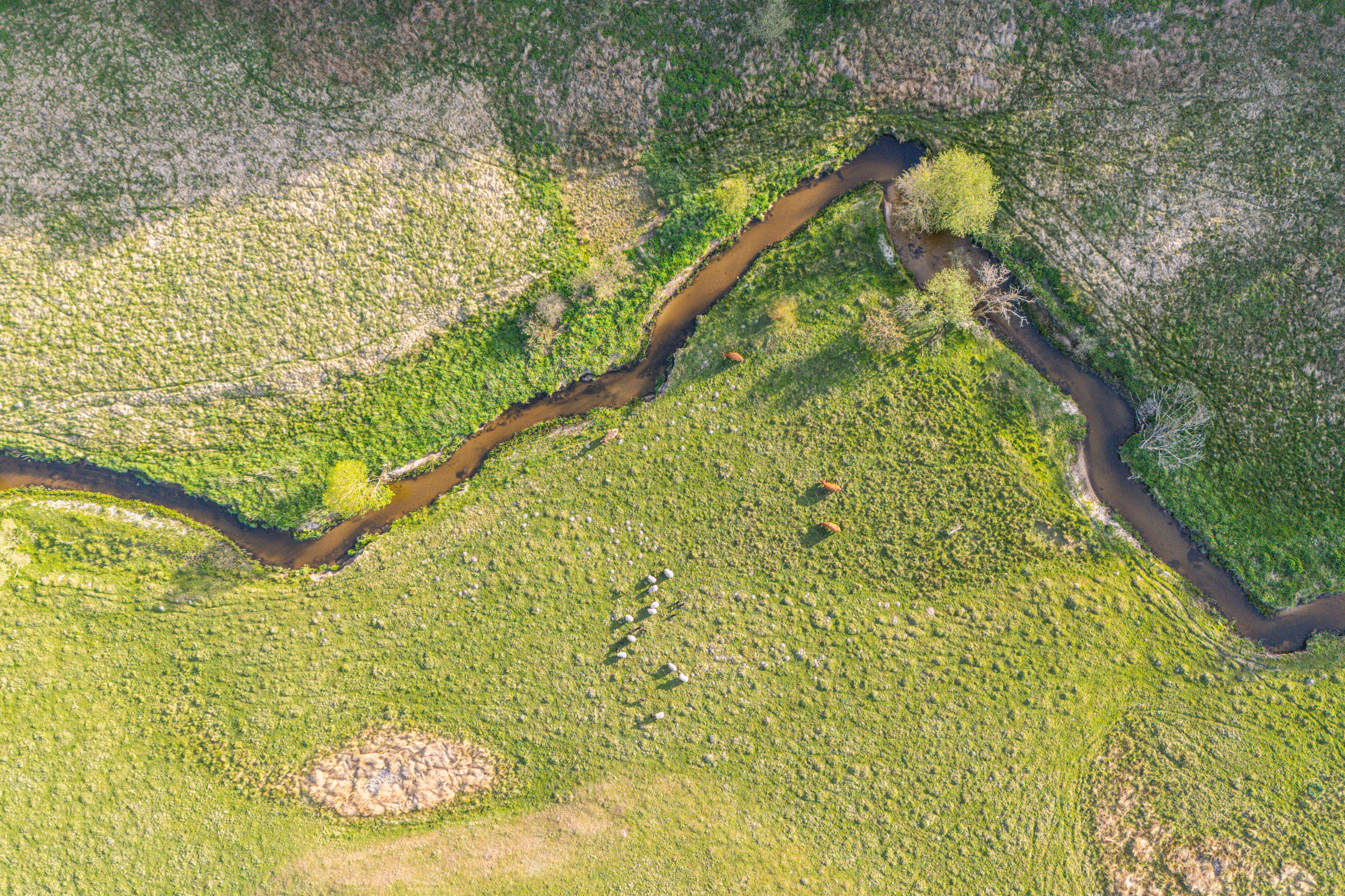 Fremhævet badeværelse billede i fuldskærmstilstand. Billede af Torndalsvej 13, Åstrup, 9240 Nibe