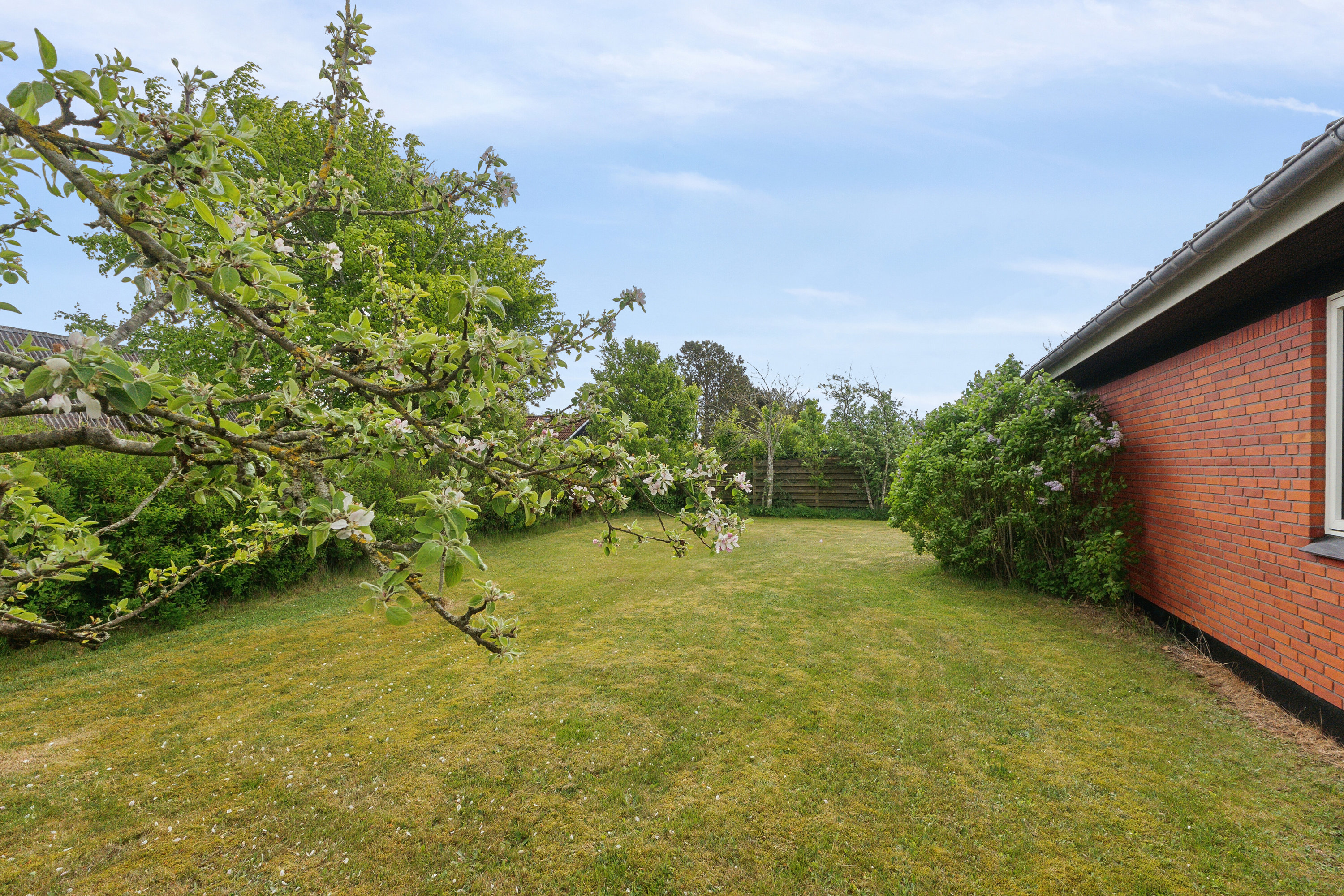 Fremhævet set fra haven billede i fuldskærmstilstand. Billede af Tannisbugtvej 70, Tversted, 9881 Bindslev