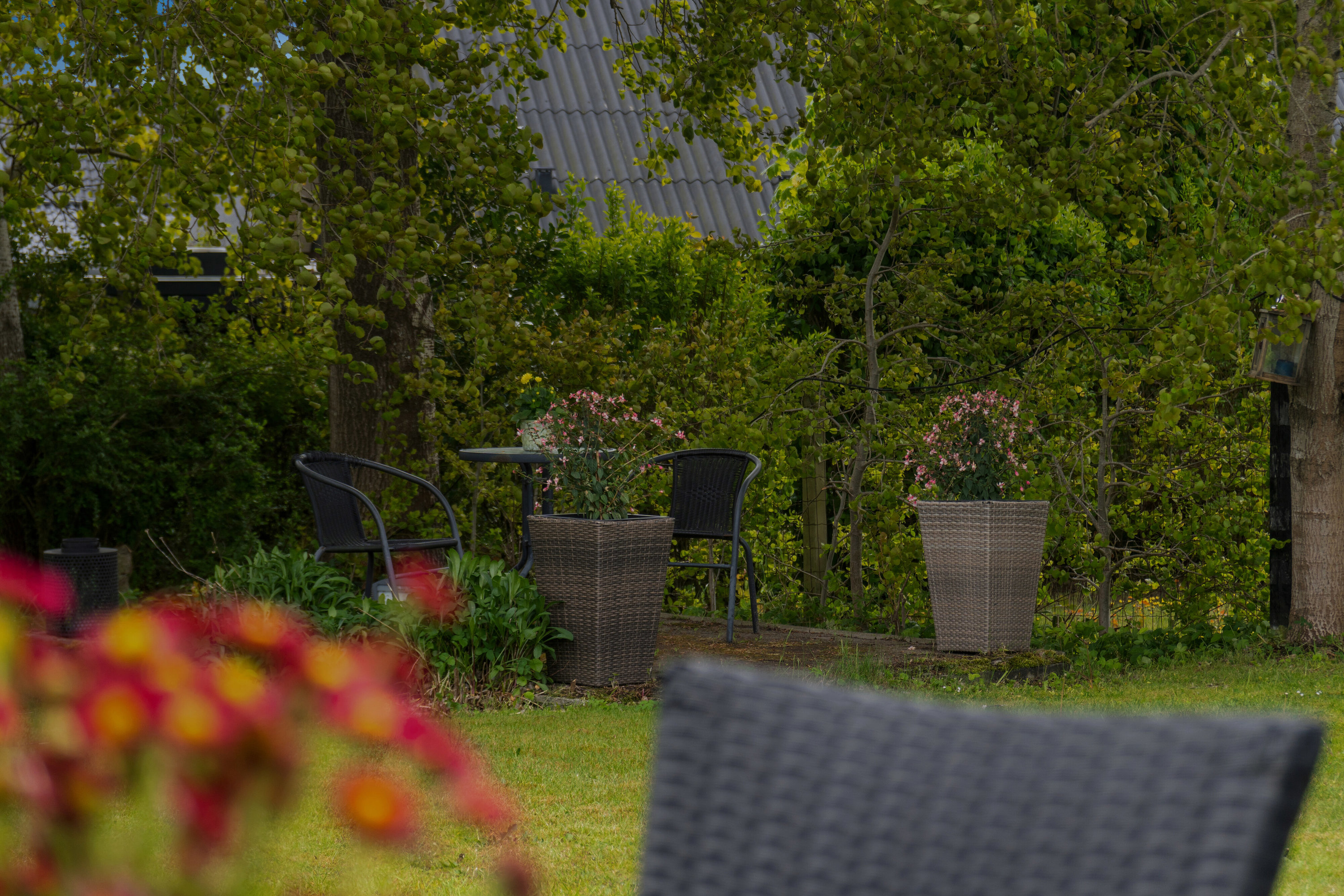 Fremhævet terrasse billede i fuldskærmstilstand. Billede af Frejasvej 9, 9870 Sindal